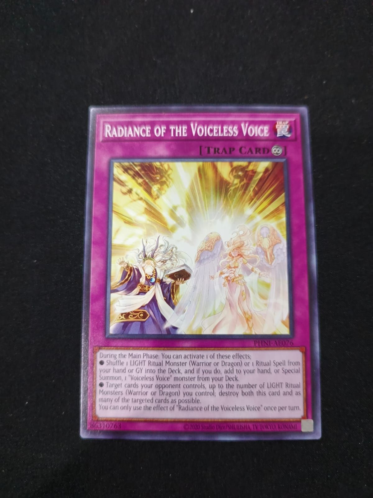 PHNI-AE076 Radiance of the Voiceless Voice Common