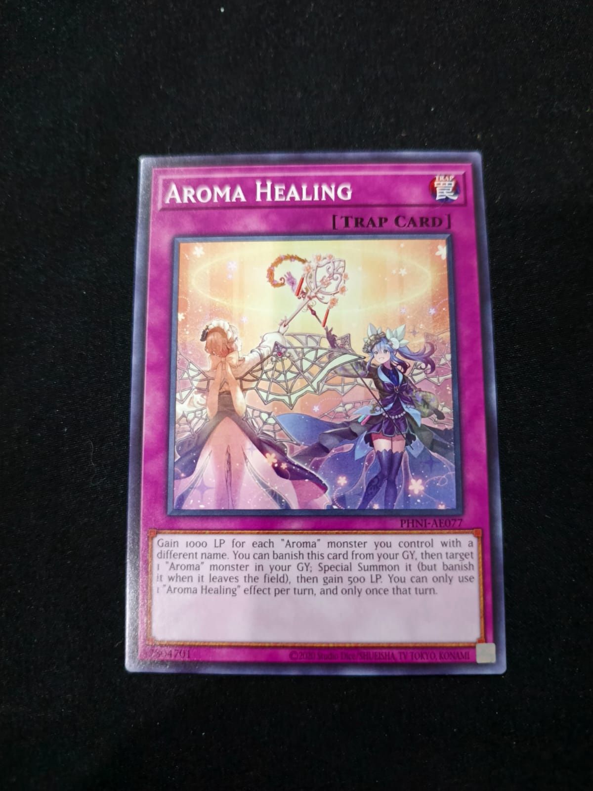 PHNI-AE077 Aroma Healing Common