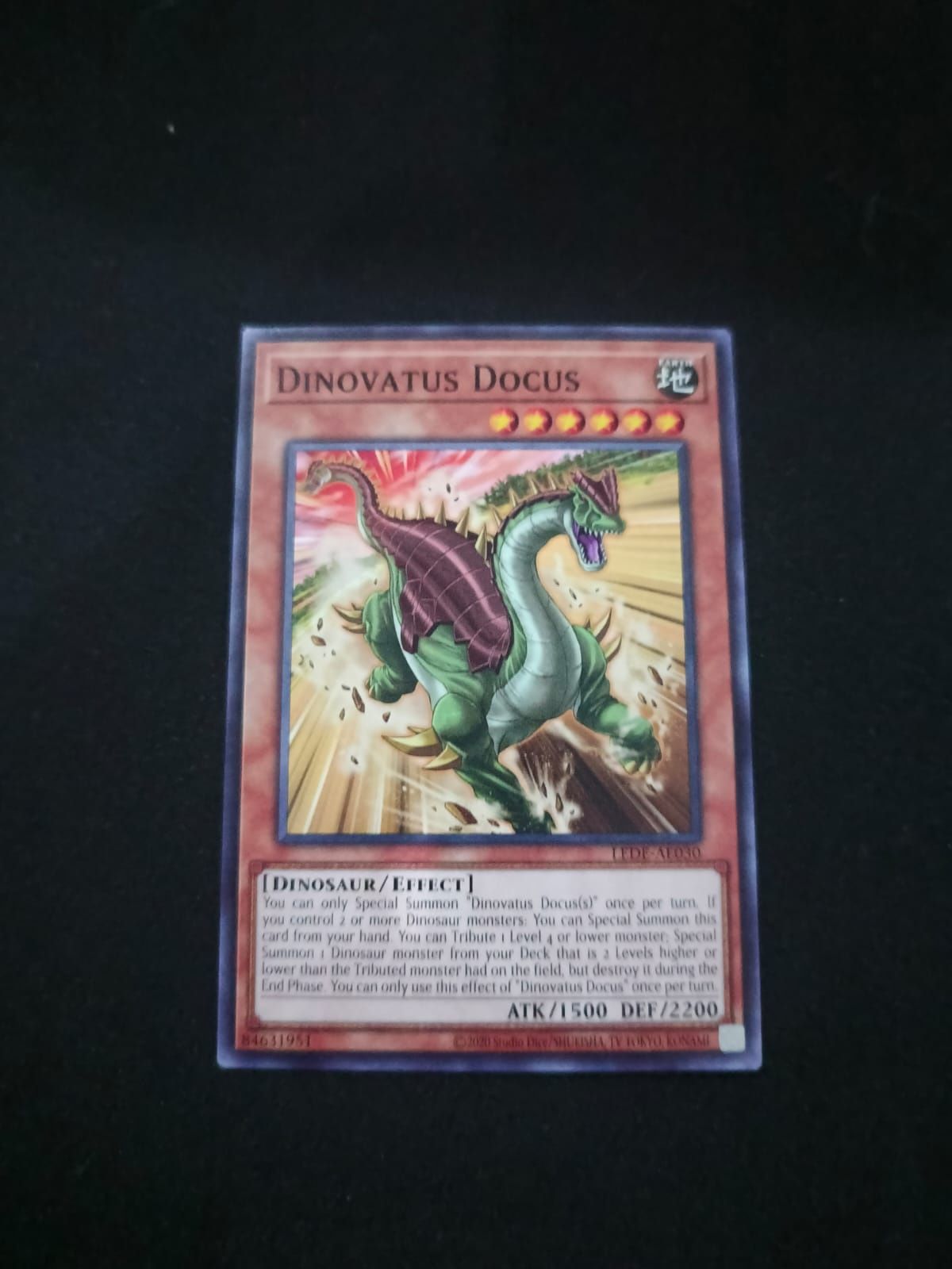 LEDE-AE030 Dinovatus Docus Common