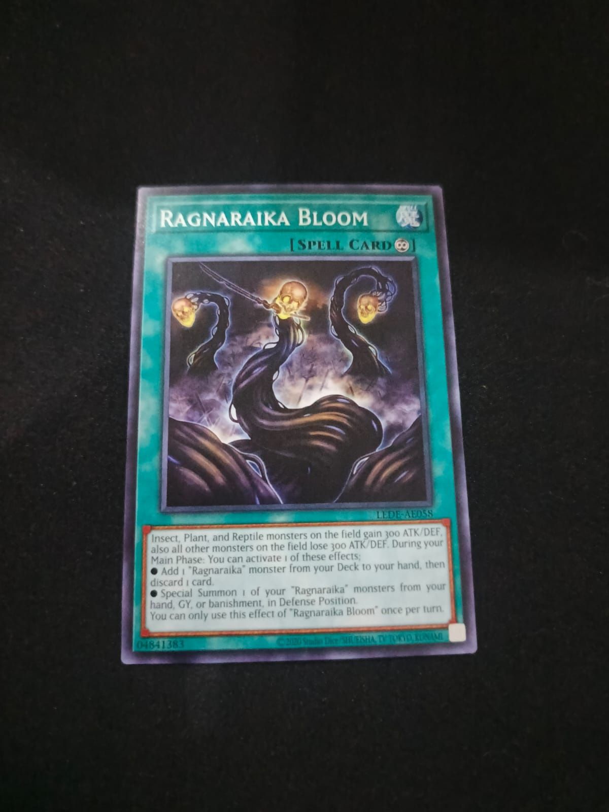 LEDE-AE058 Ragnaraika Bloom Common