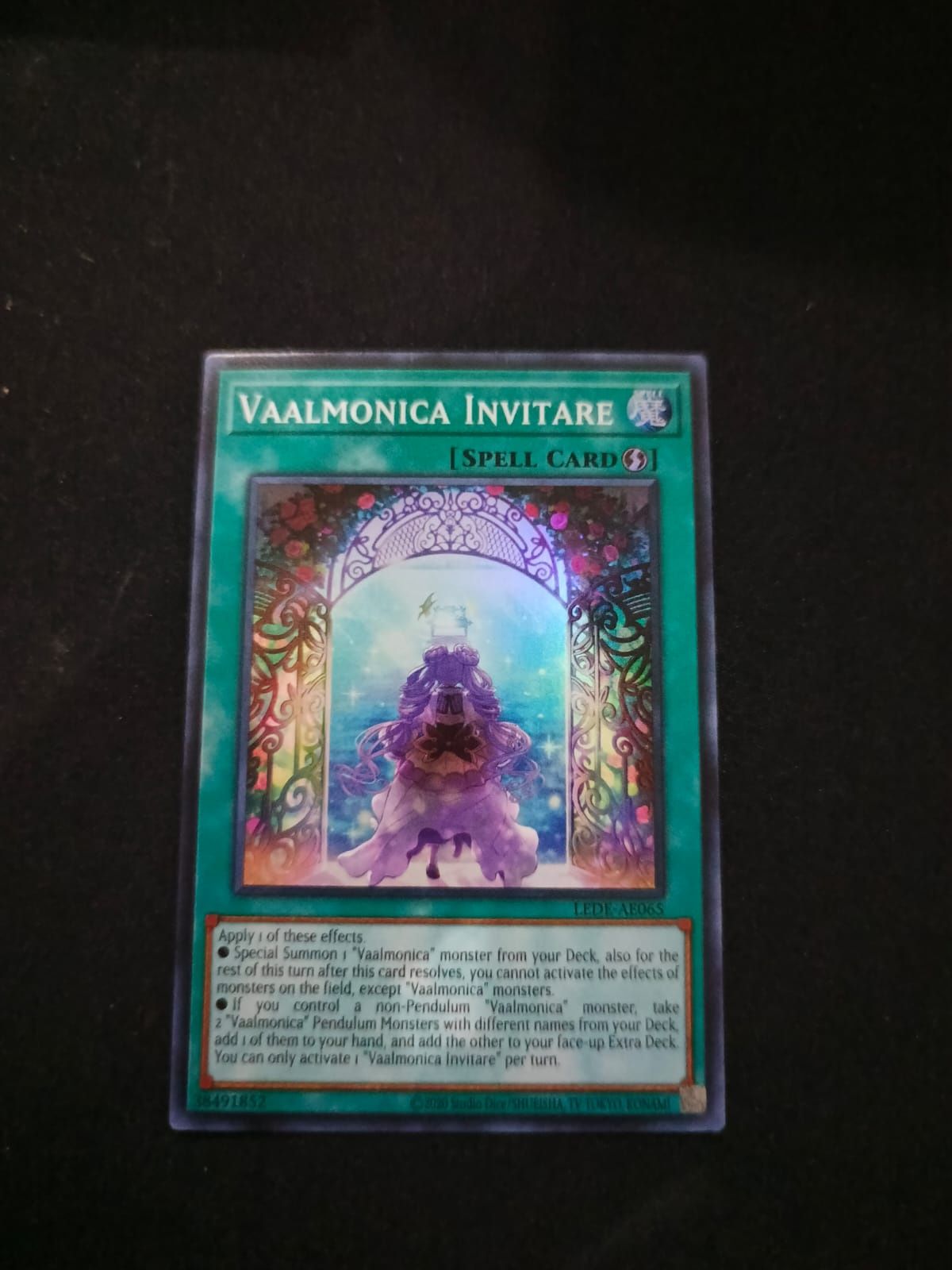 LEDE-AE065 Vaalmonica Invitare Super Rare