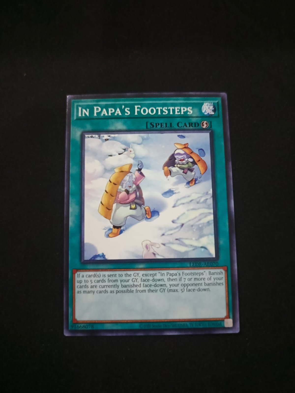 LEDE-AE070 In Papa's Footsteps Common