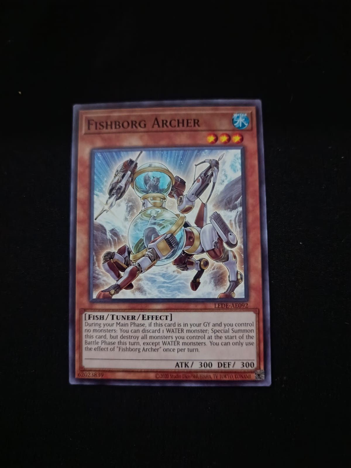 LEDE-AE092 Fishborg Archer Common