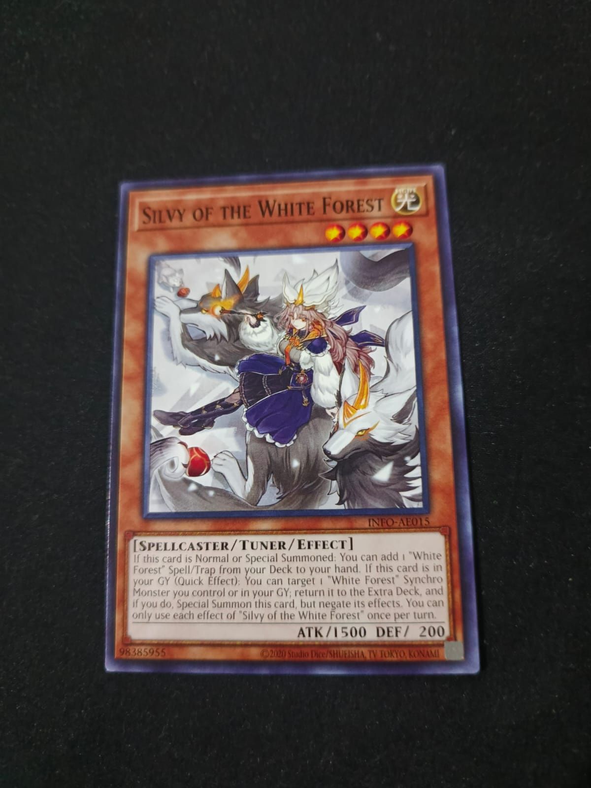 INFO-AE015 Silvy of the White Forest Common