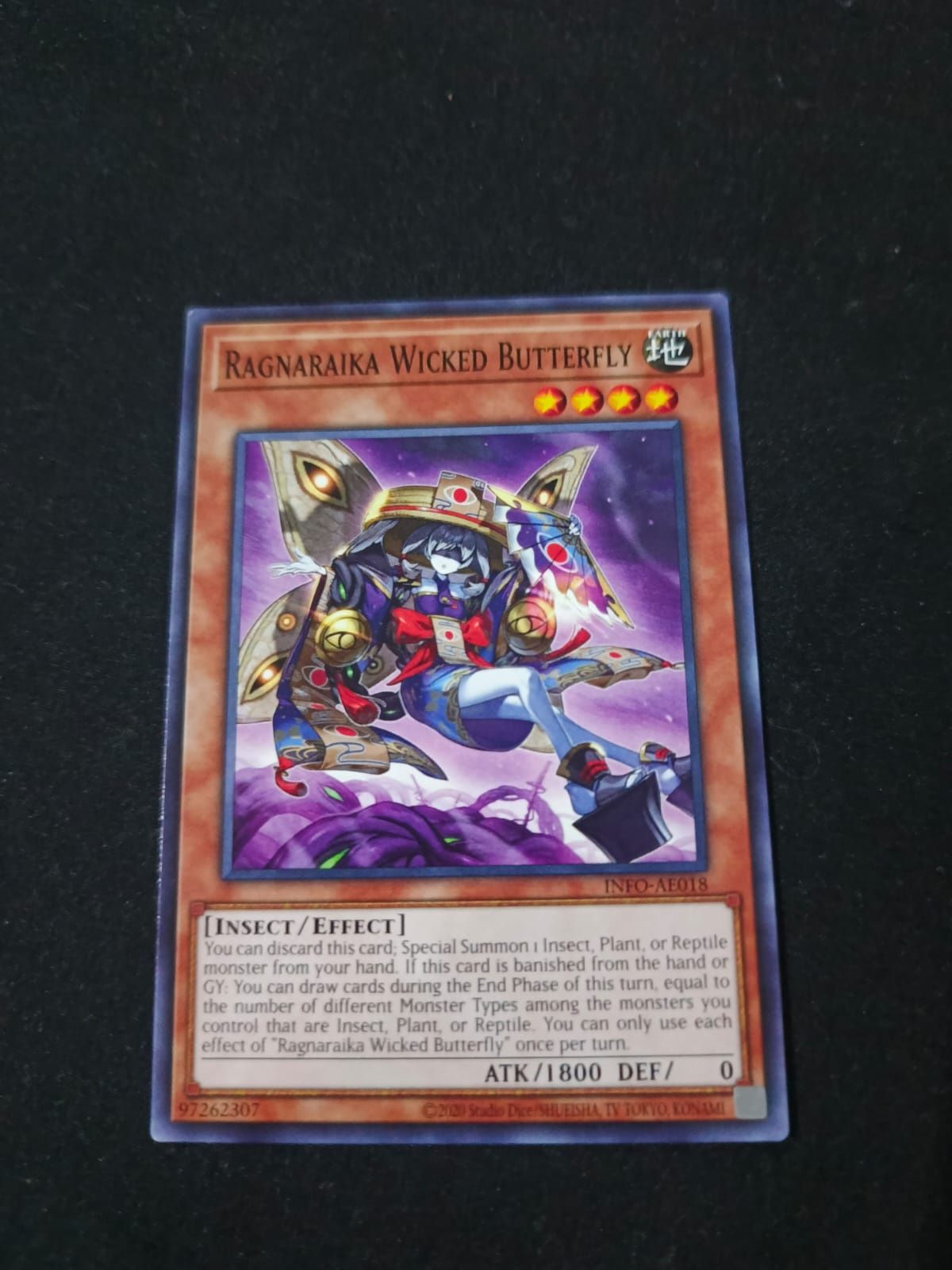 INFO-AE018 Ragnaraika Wicked Butterfly Common