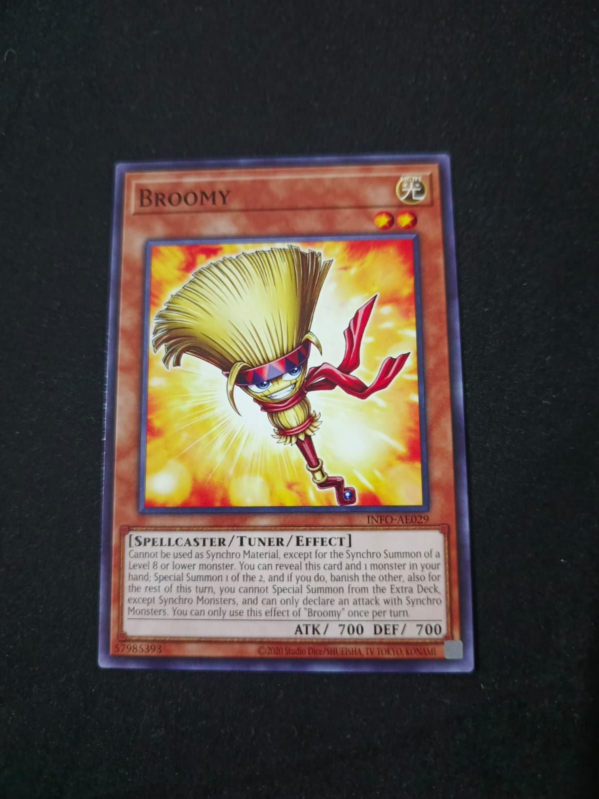 INFO-AE029 Broomy Common