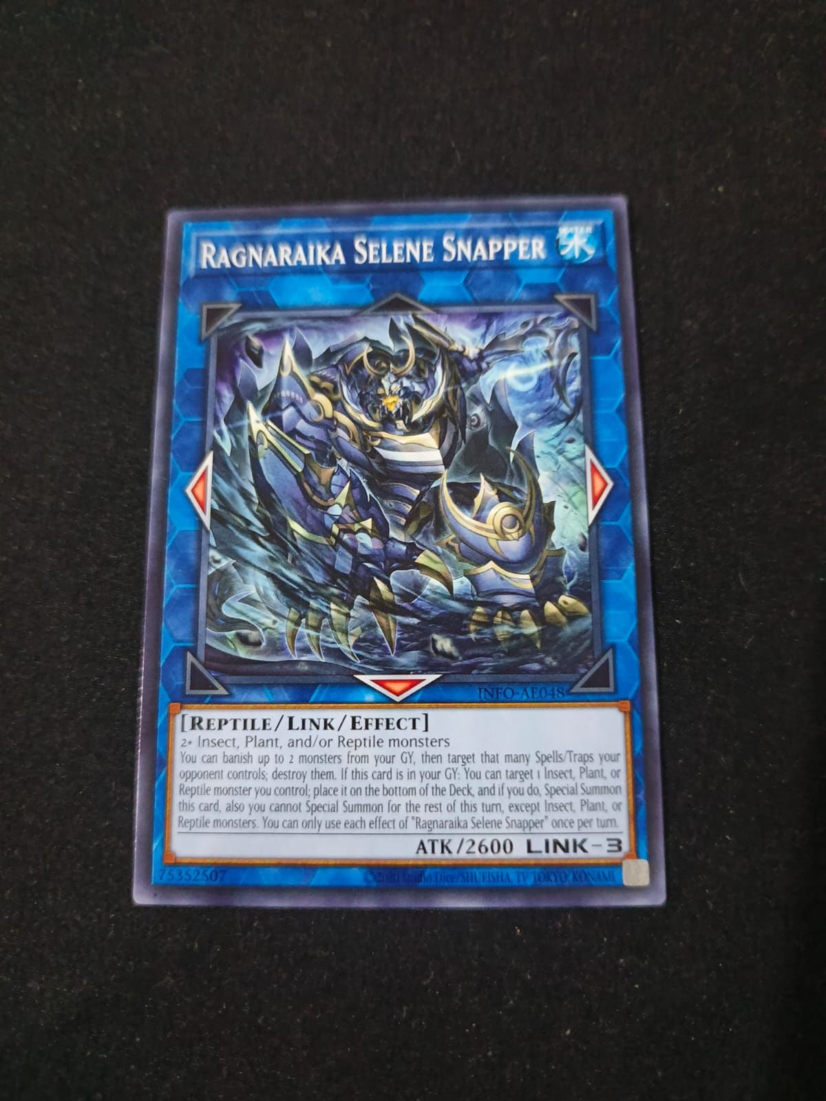 INFO-AE048 Ragnaraika Selene Snapper Common