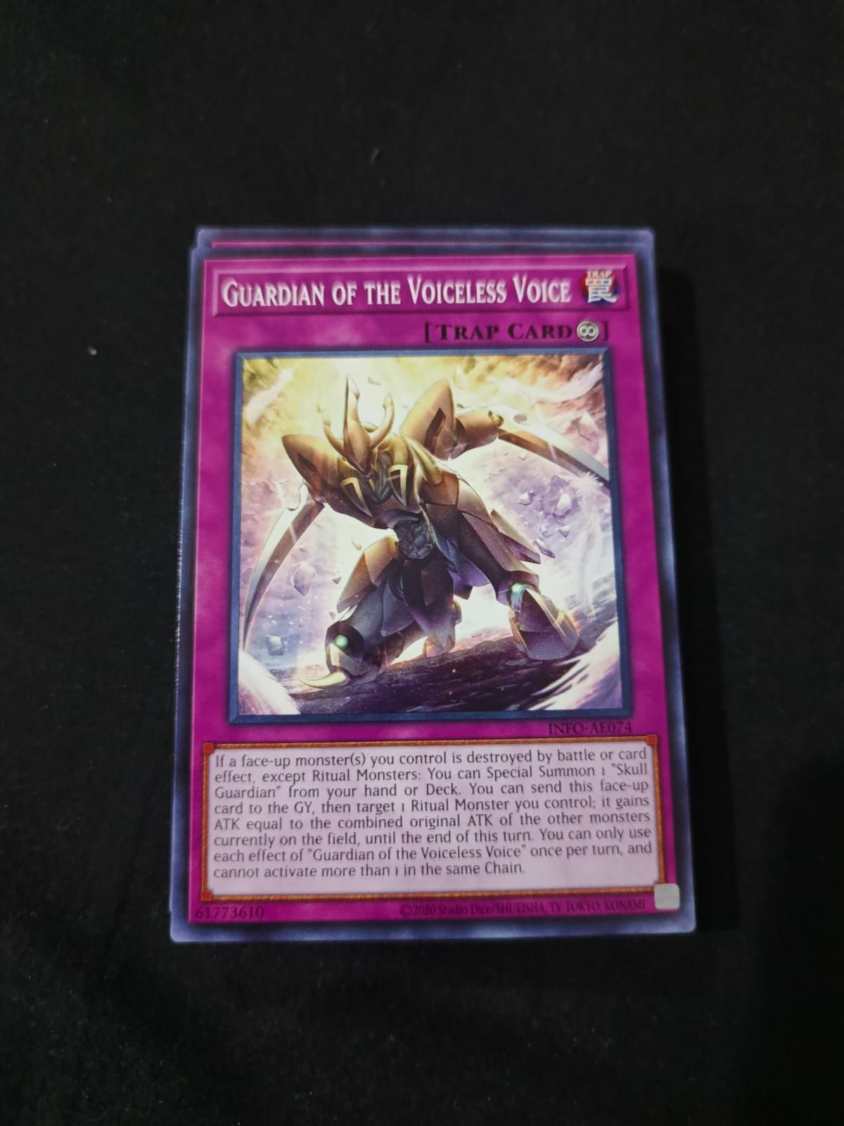 INFO-AE074 Guardian of the Voiceless Voice Common