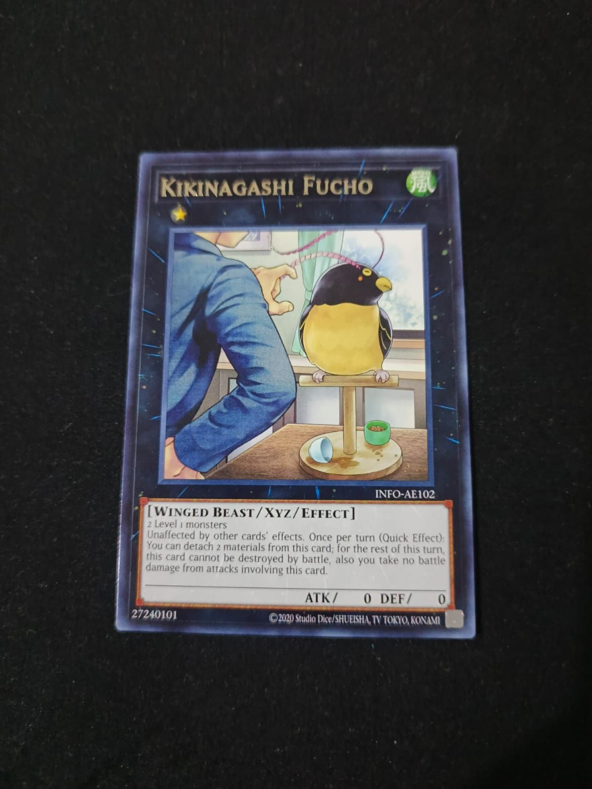 INFO-AE102 Kikinagashi Fucho Rare