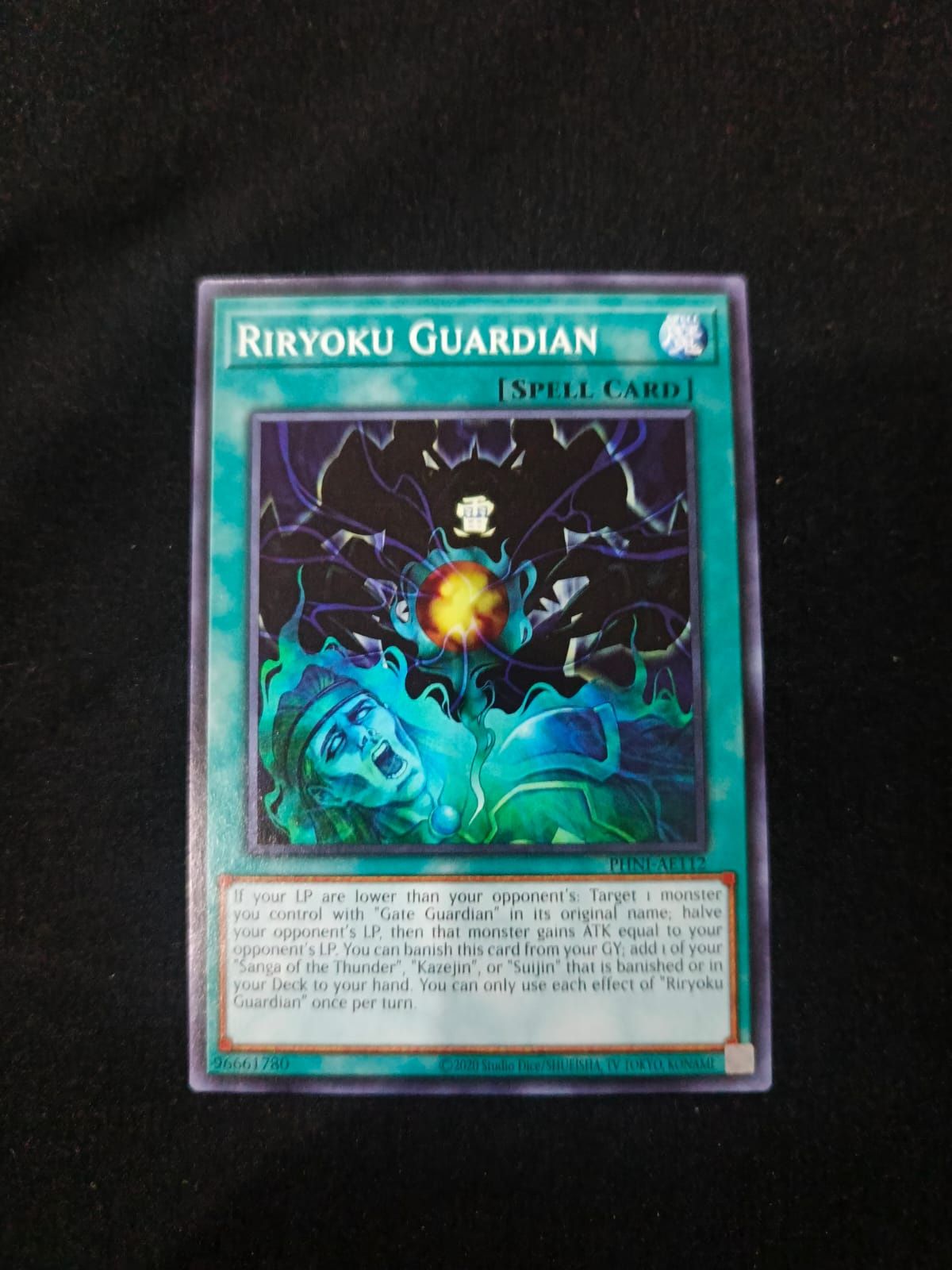 PHNI-AE112 Riryoku Guardian Common