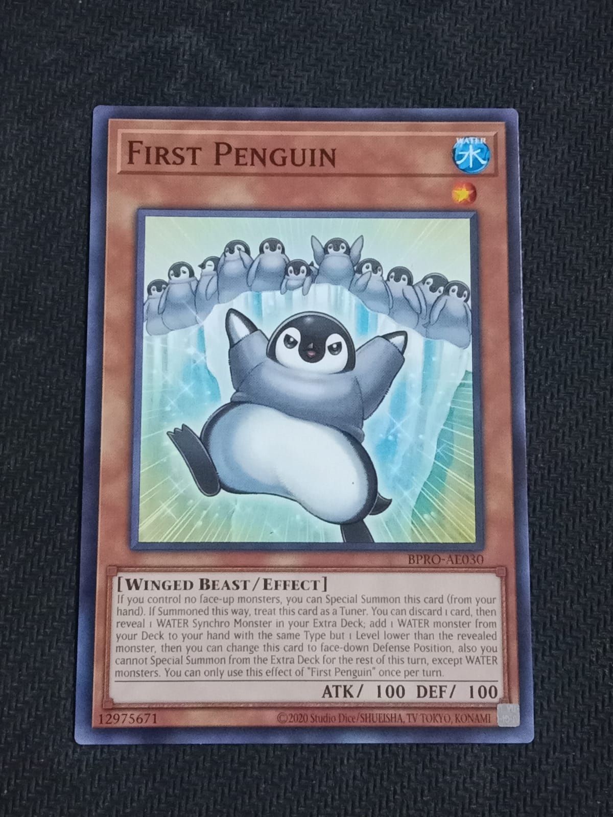 BPRO-AE030 First Penguin Common