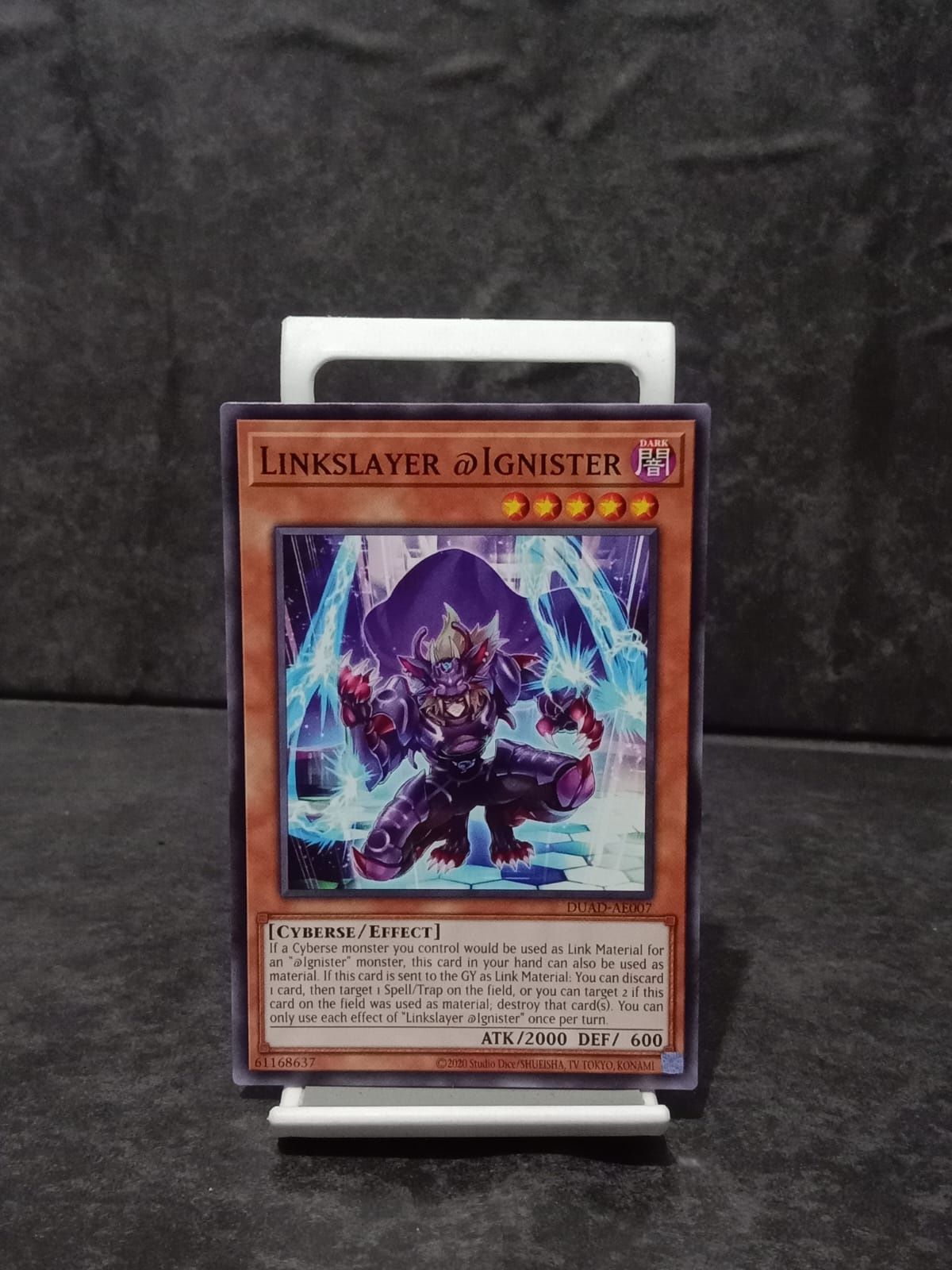 DUAD-AE007 Linkslayer @Ignister Common