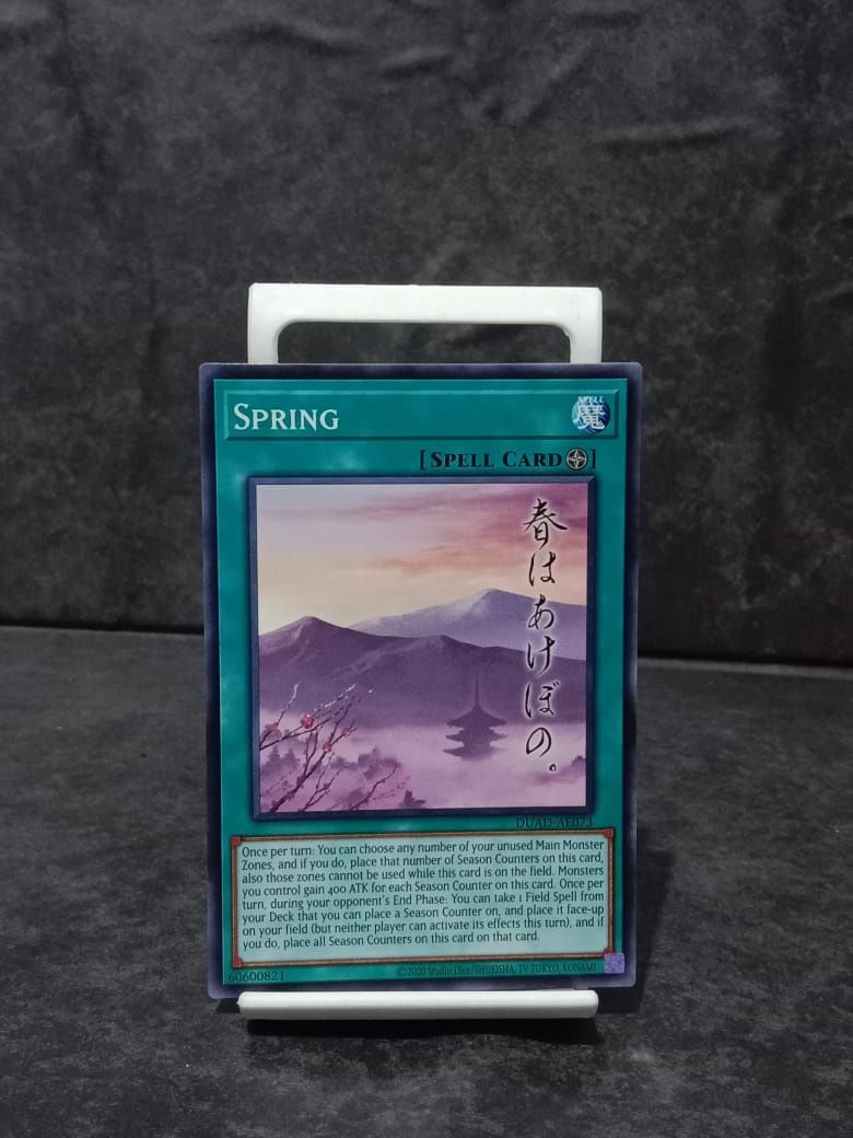 DUAD-AE073 Spring Common