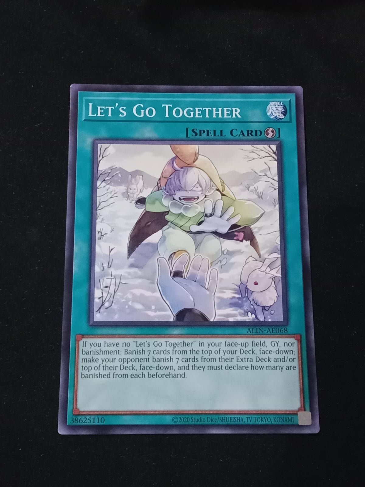 ALIN-AE068 Let's Go Together Common