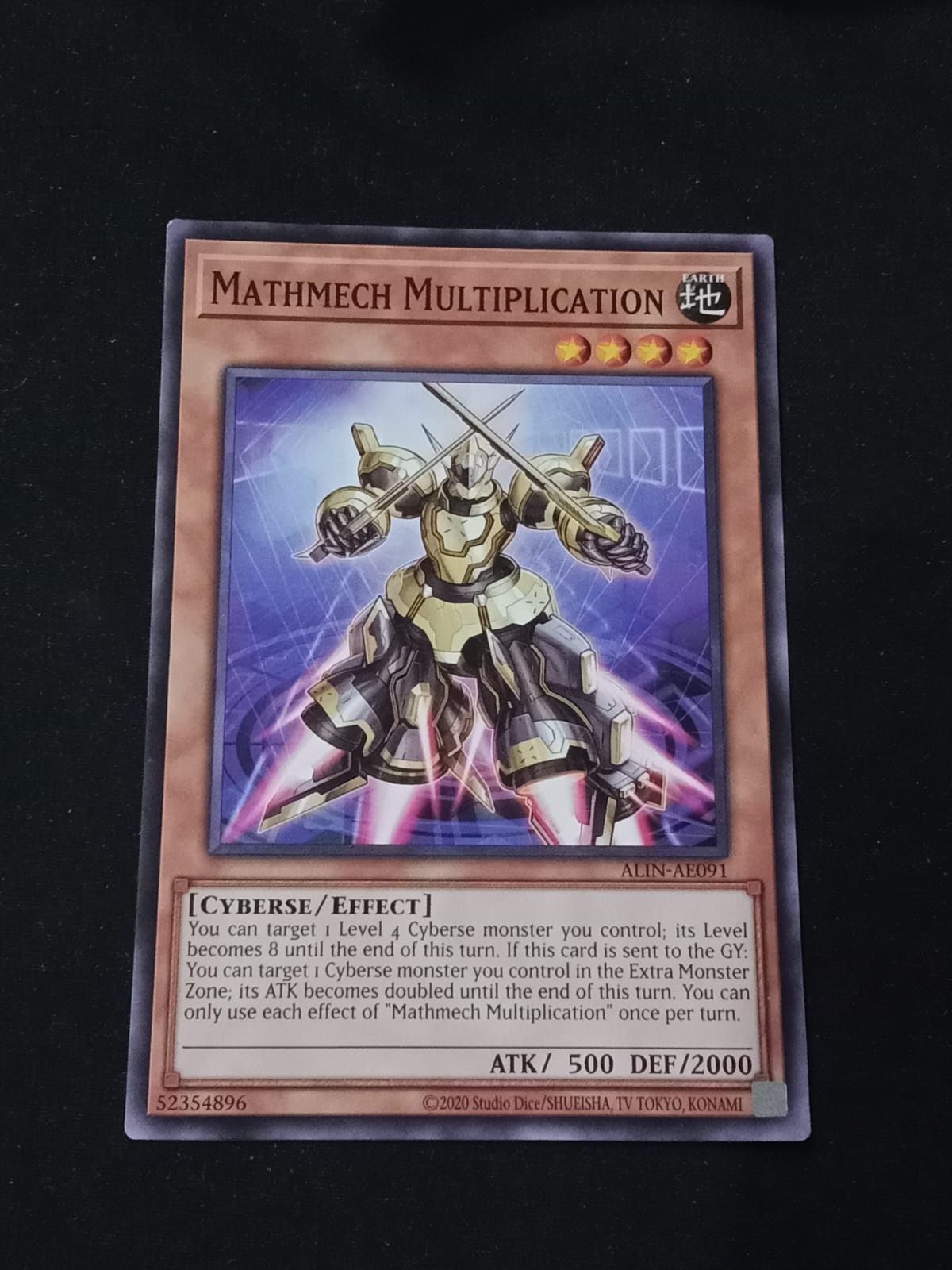 ALIN-AE091 Mathmech Multiplication Common