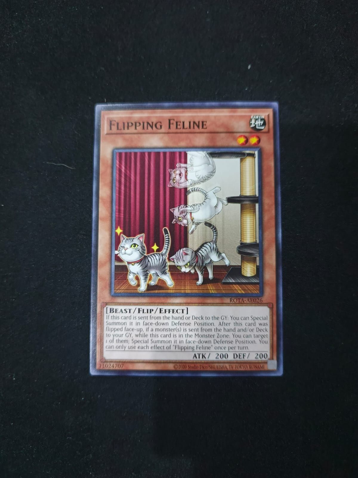 ROTA-AE026 Flipping Feline Common