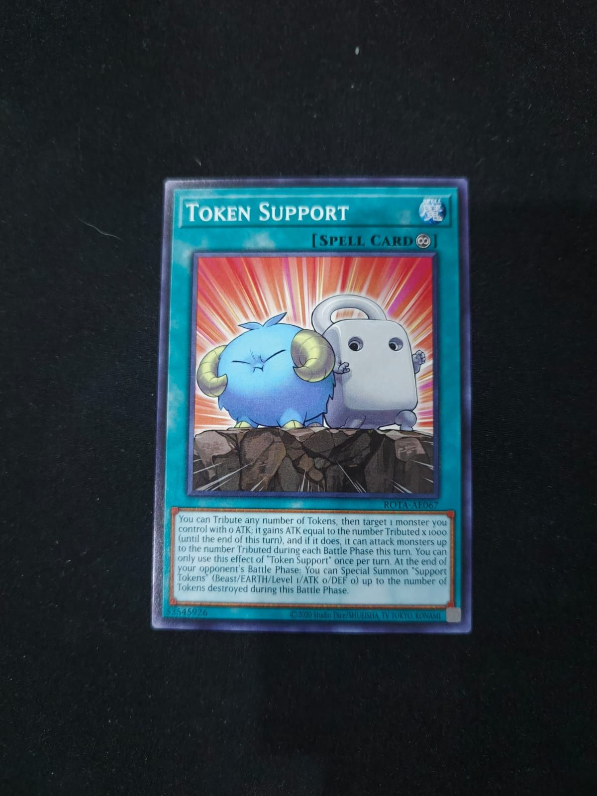 ROTA-AE067 Token Support Common