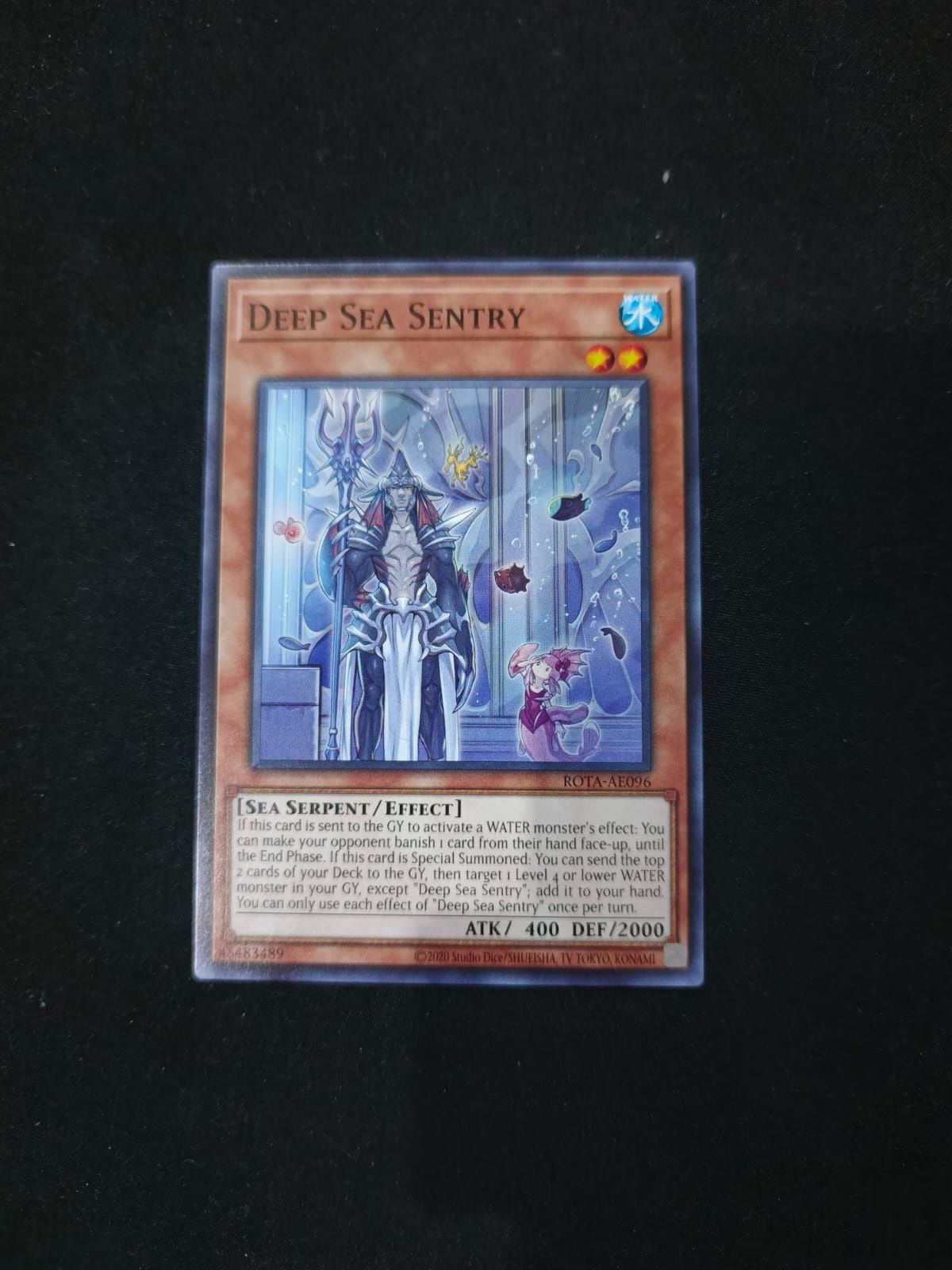 ROTA-AE096 Deep Sea Sentry Common