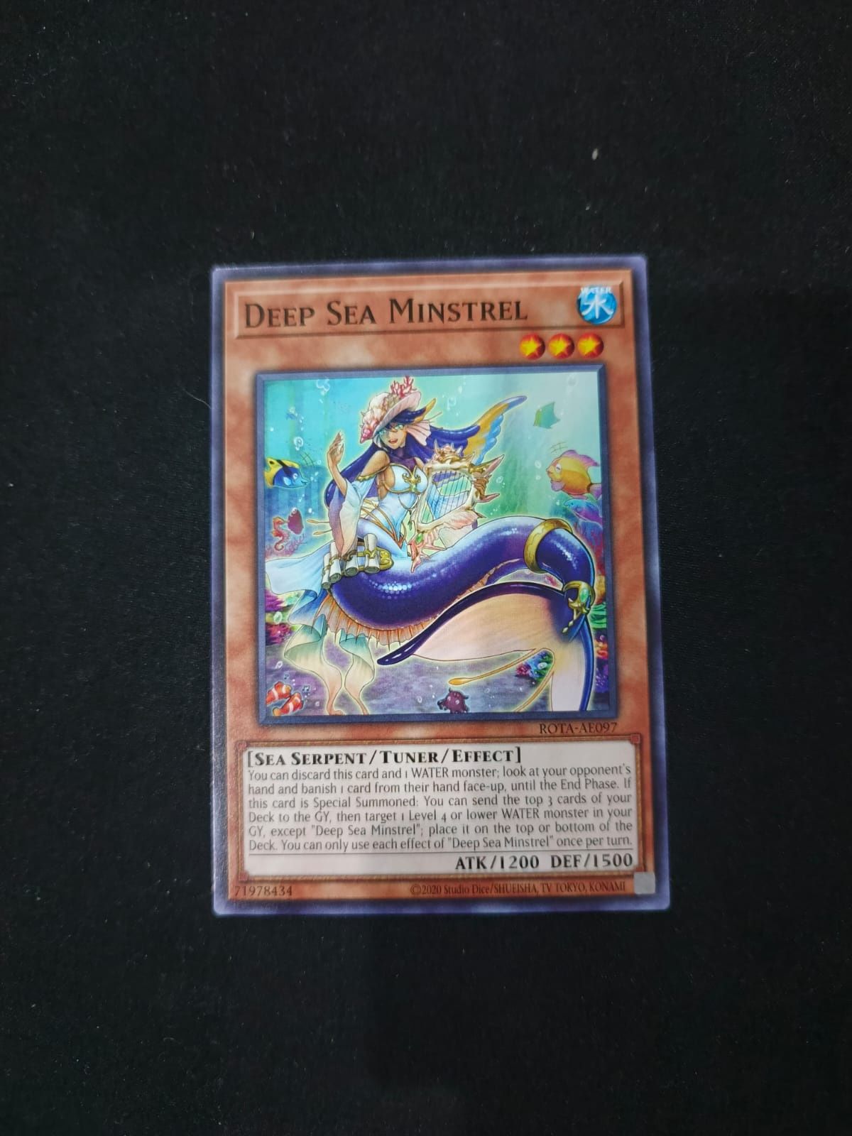 ROTA-AE097 Deep Sea Minstrel Common