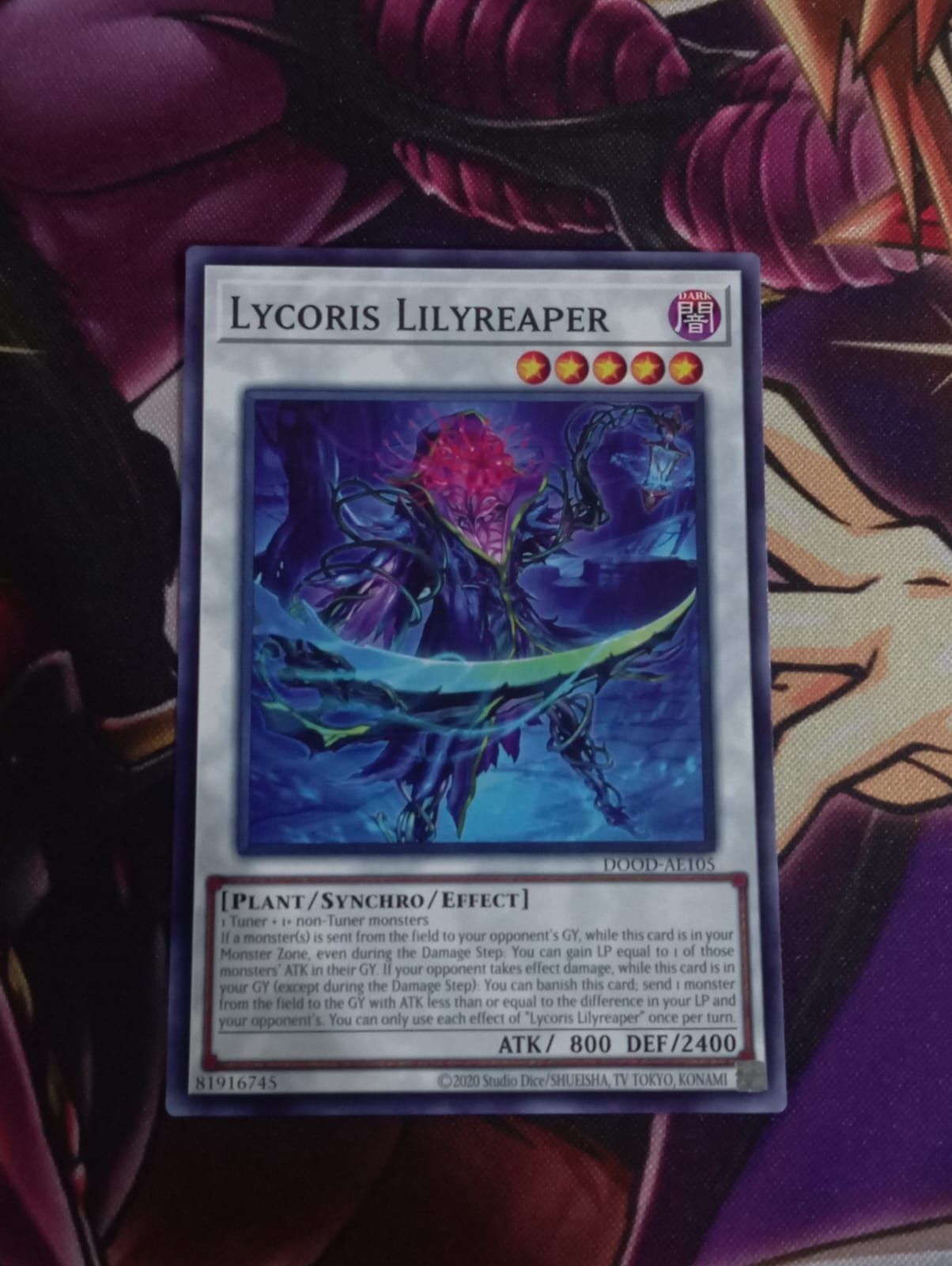 DOOD-AE105 Lycoris Lilyreaper Common