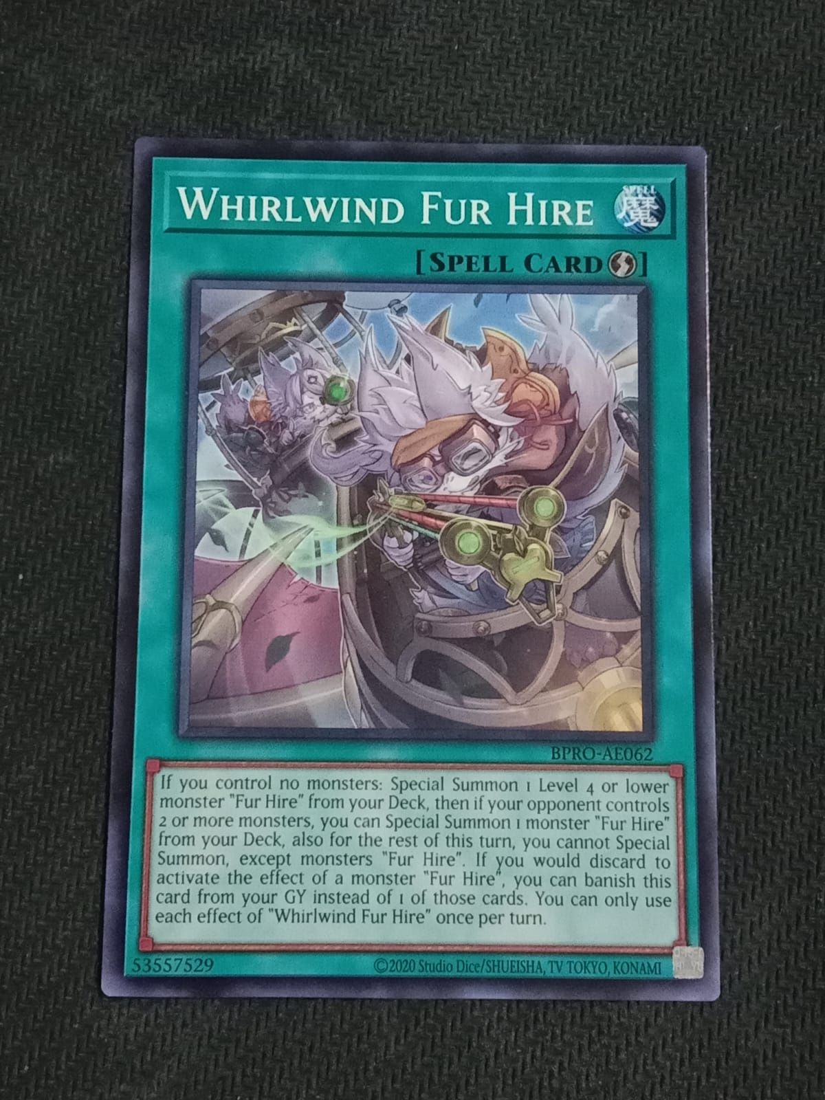 BPRO-AE062 Whirlwind Fur Hire Common