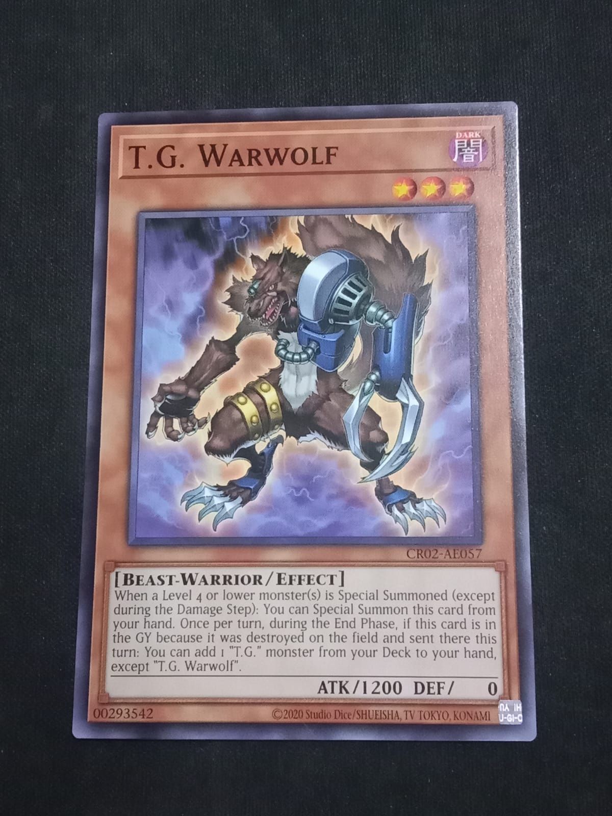 CR02-AE057 T.G. Warwolf Common