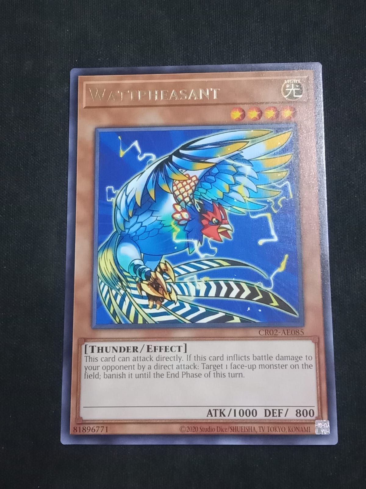 CR02-AE085 Wattpheasant Rare