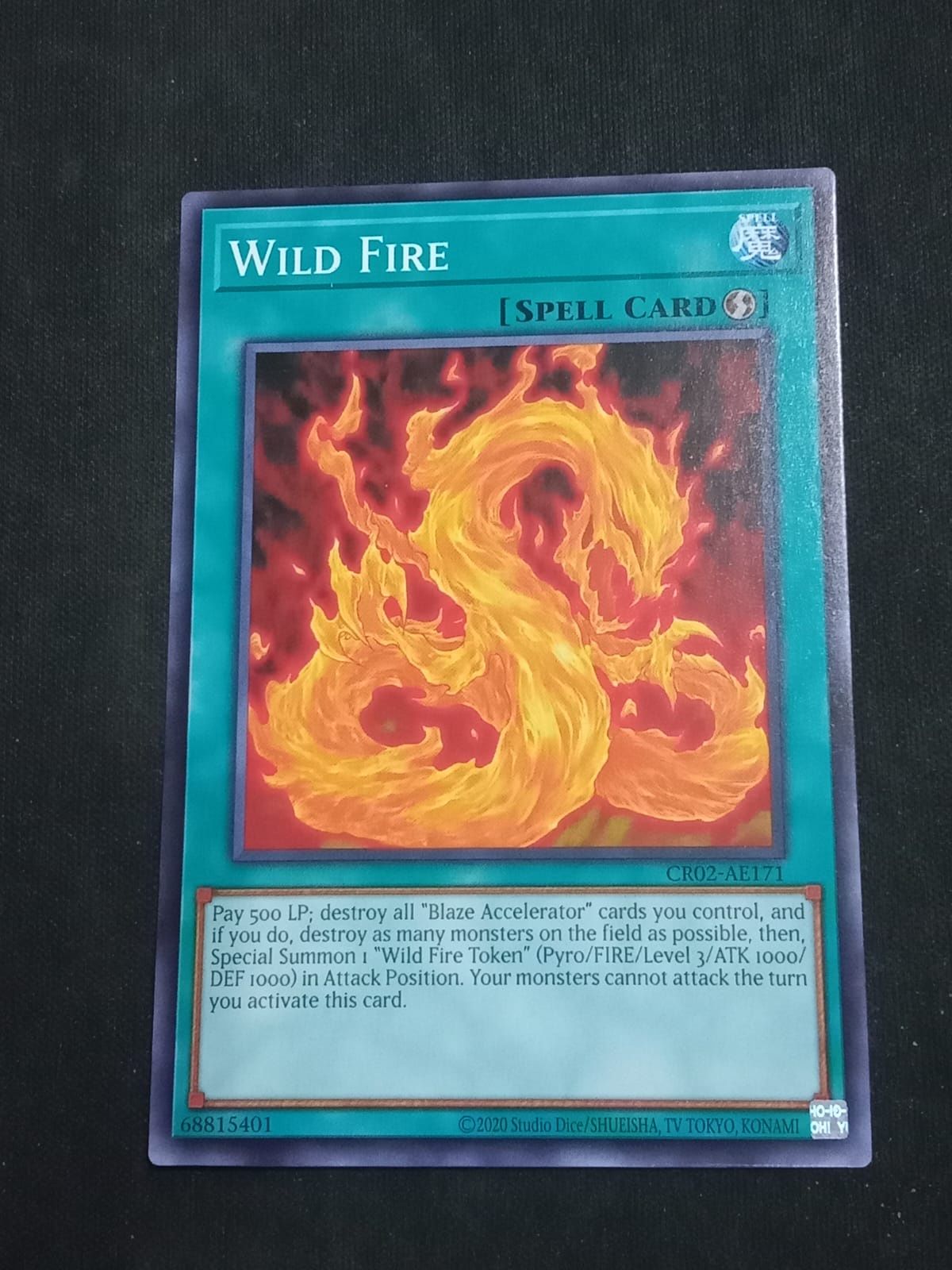 CR02-AE171 Wild Fire Common