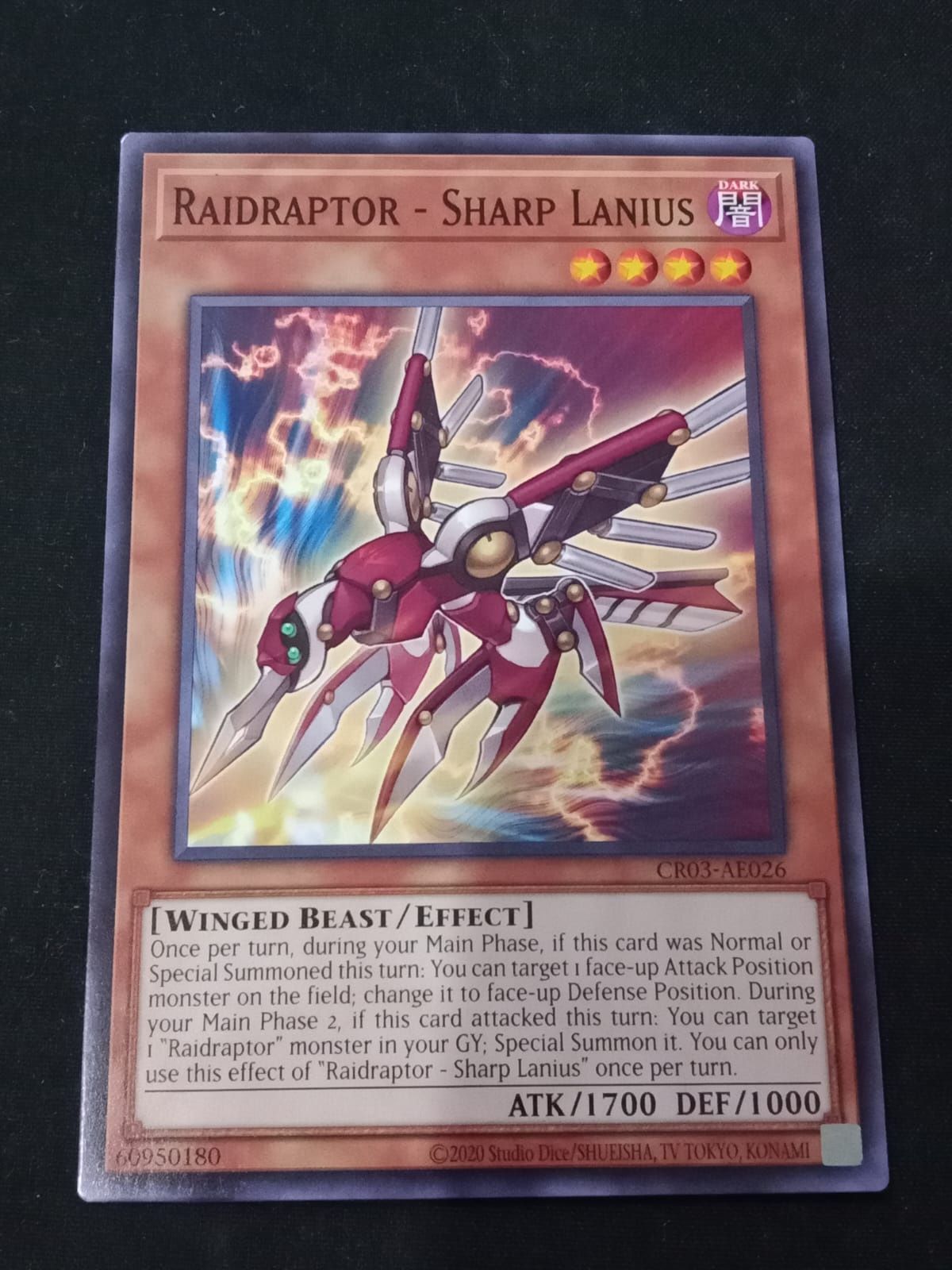 CR03-AE026 Raidraptor - Sharp Lanius Common