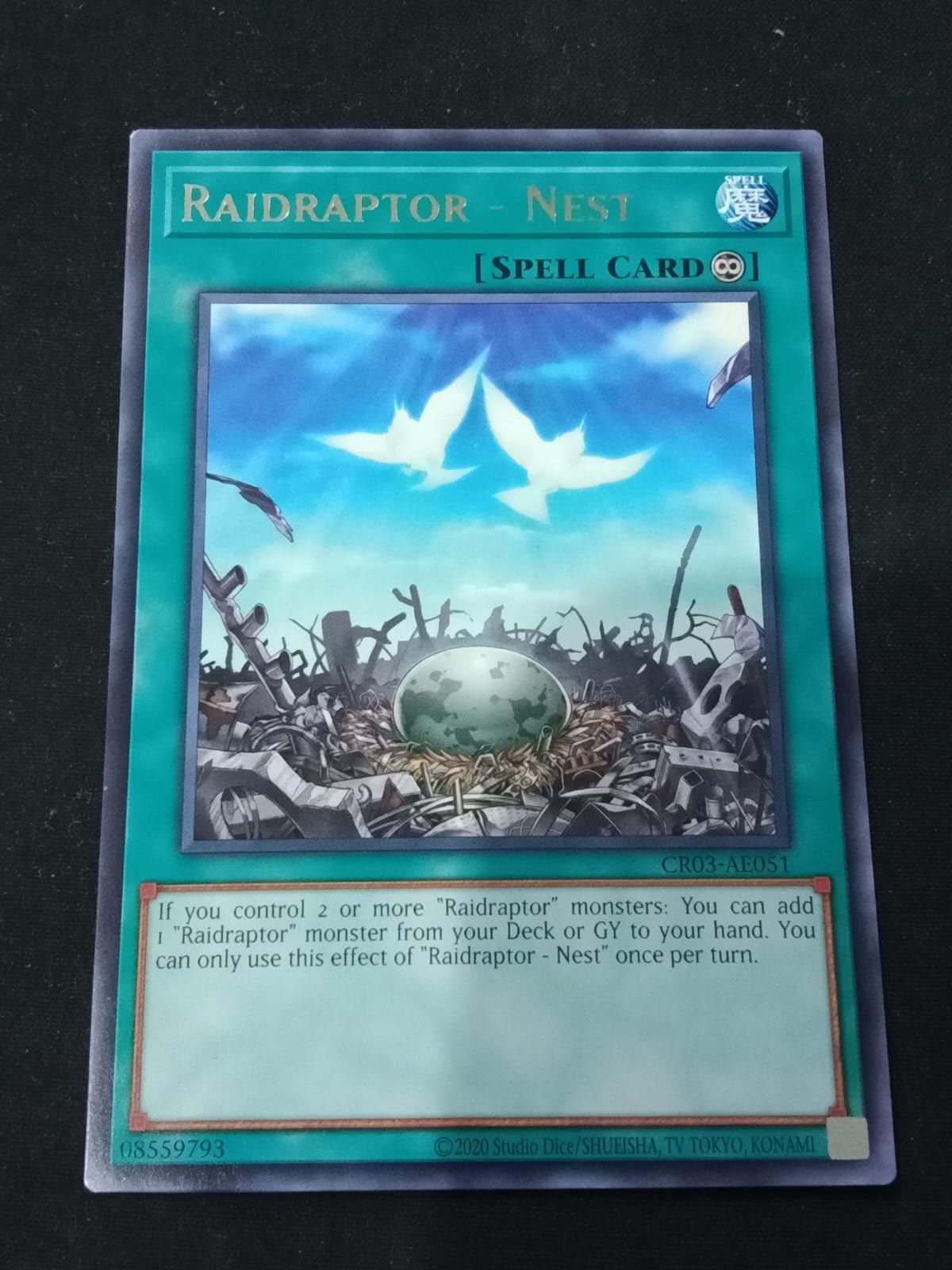 CR03-AE051 Raidraptor - Nest Rare