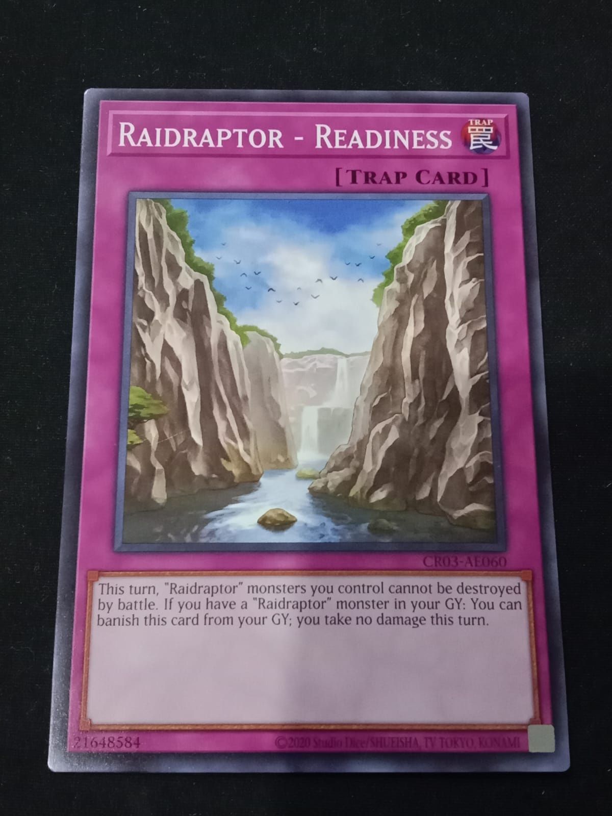 CR03-AE060 Raidraptor - Readiness Common