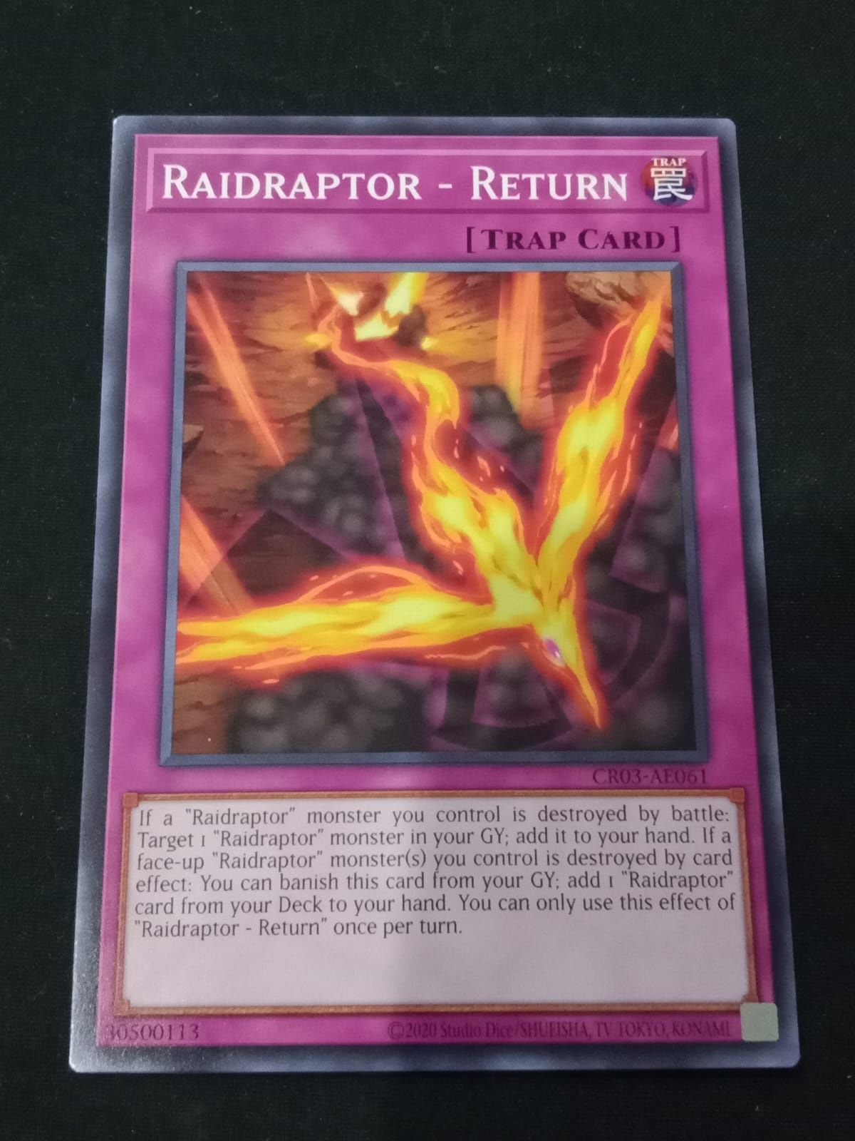 CR03-AE061 Raidraptor - Return Common