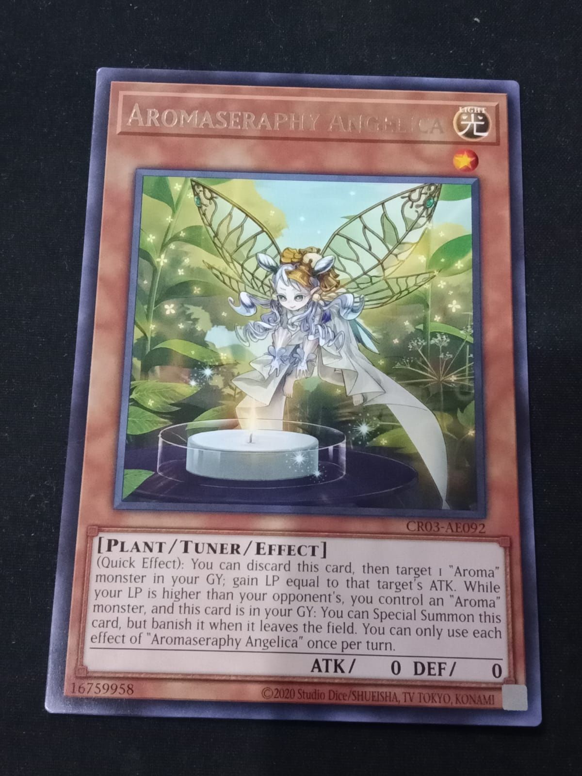 CR03-AE092 Aromaseraphy Angelica Rare