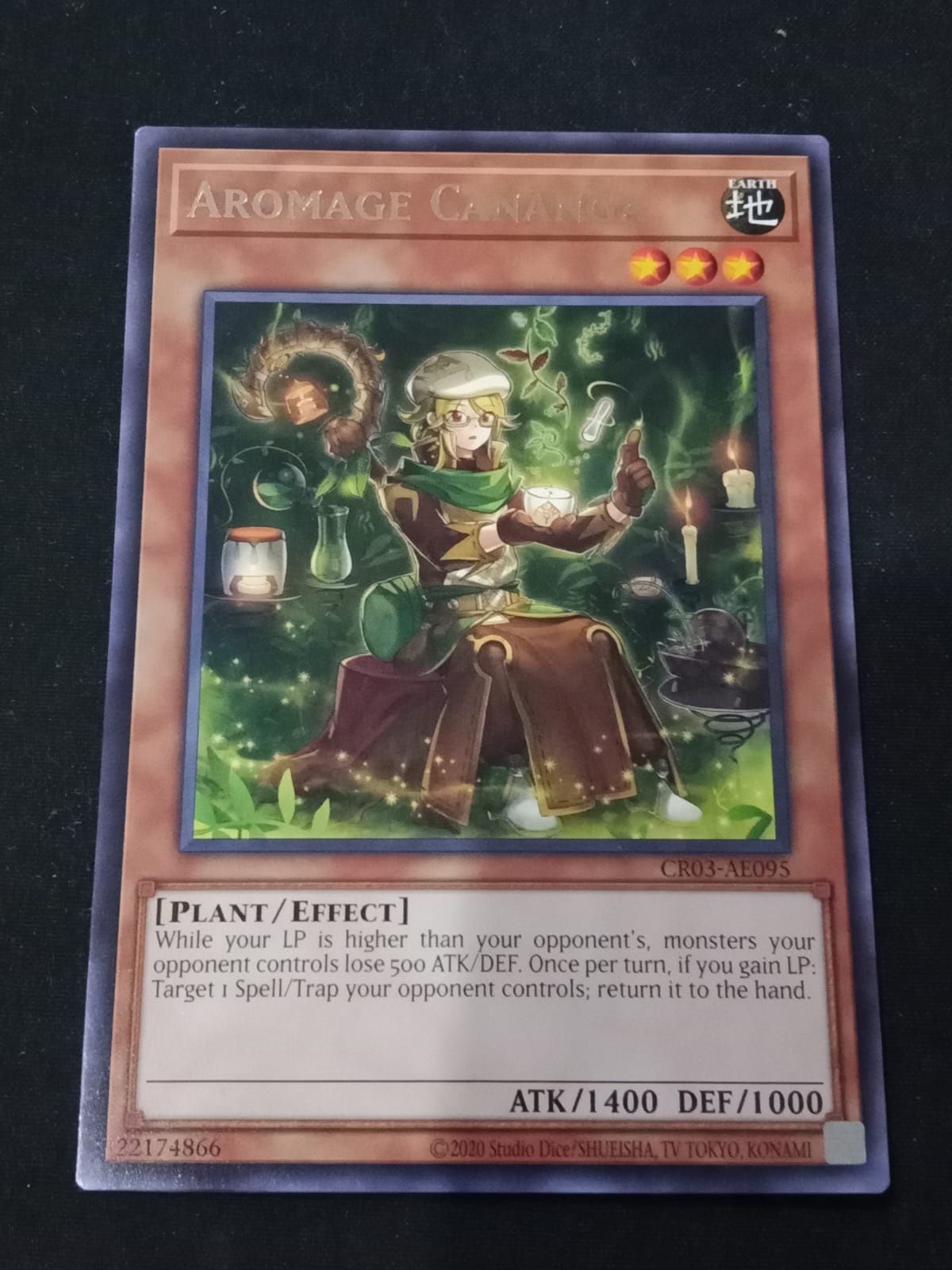 CR03-AE095 Aromage Cananga Rare