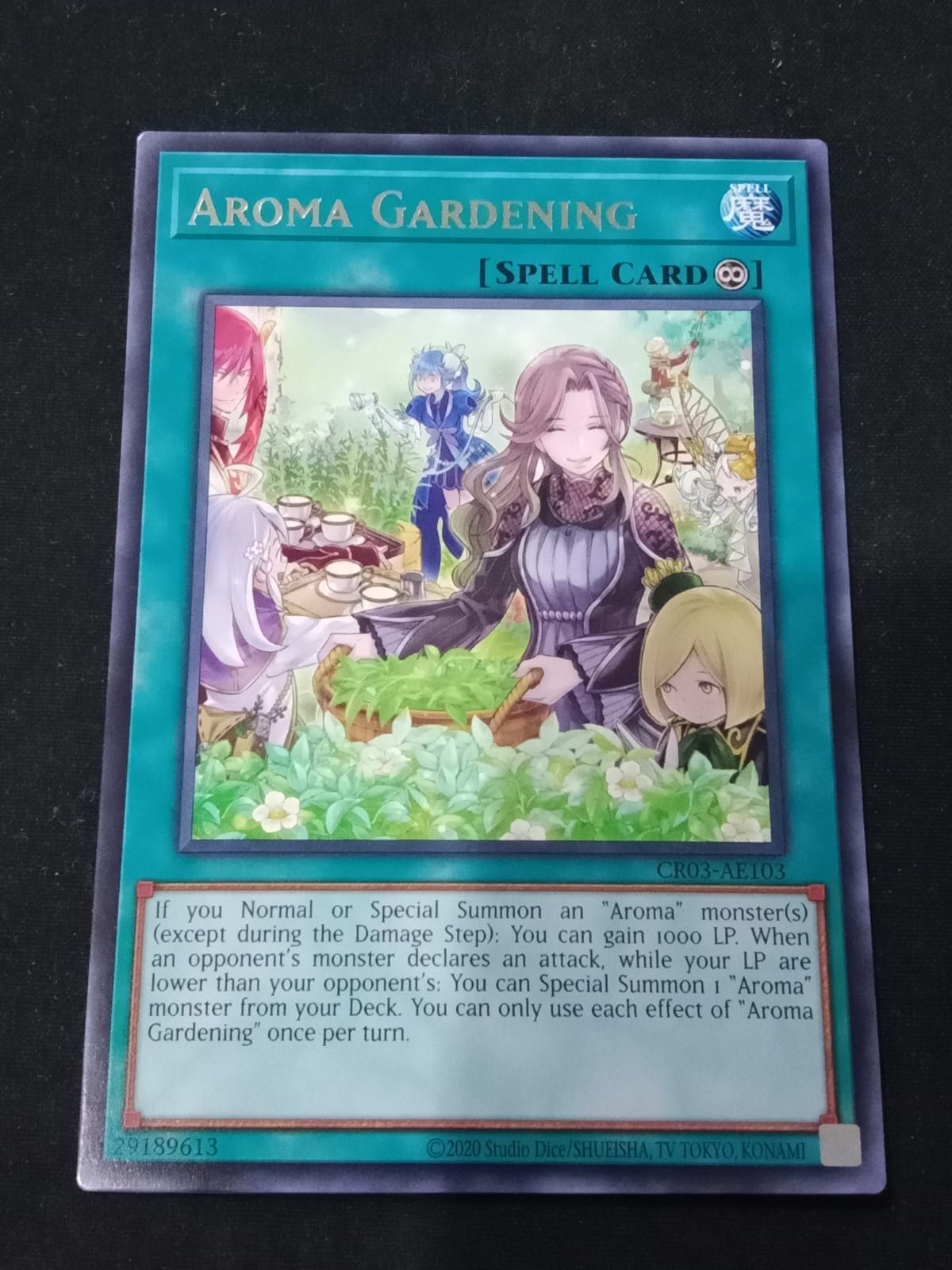 CR03-AE103 Aroma Gardening Rare
