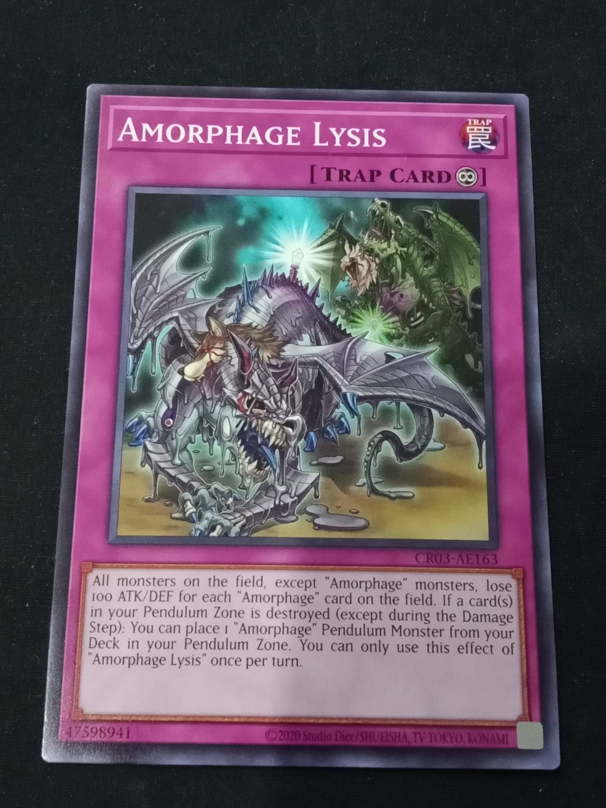 CR03-AE163 Amorphage Lysis Common