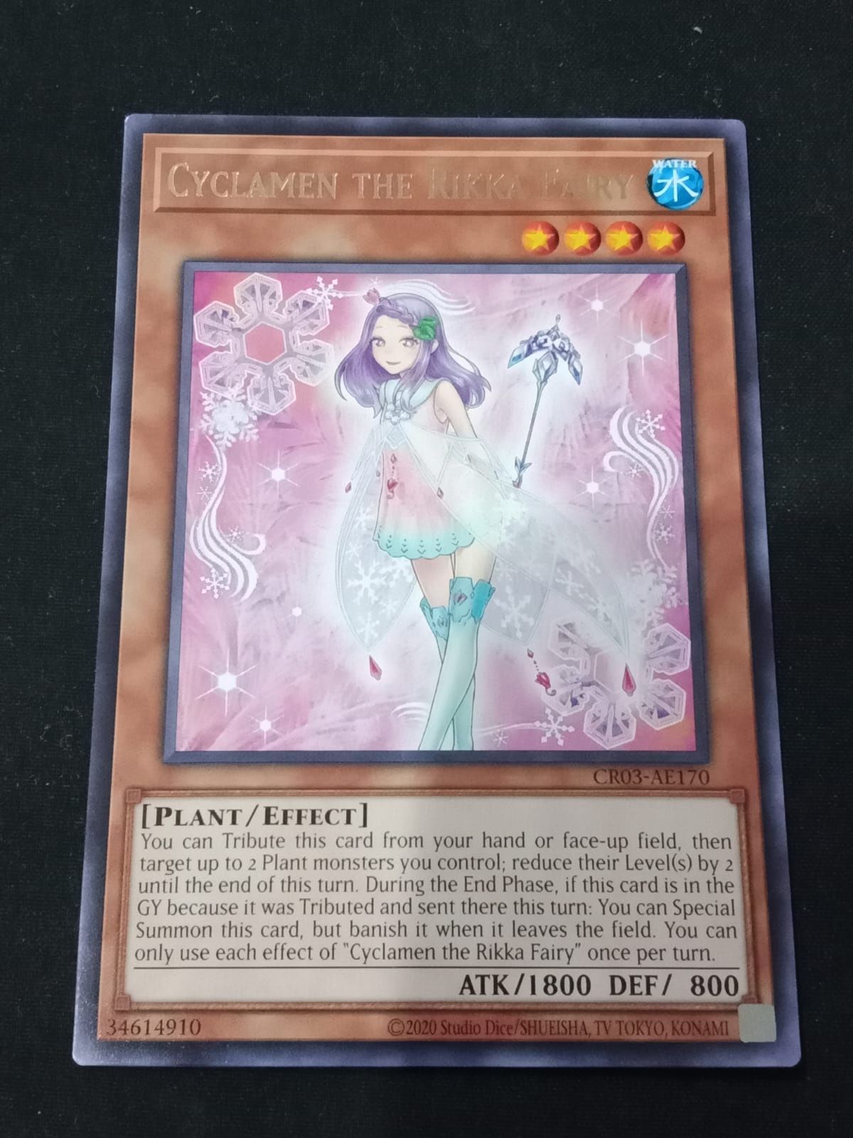 CR03-AE170 Cyclamen the Rikka Fairy Rare