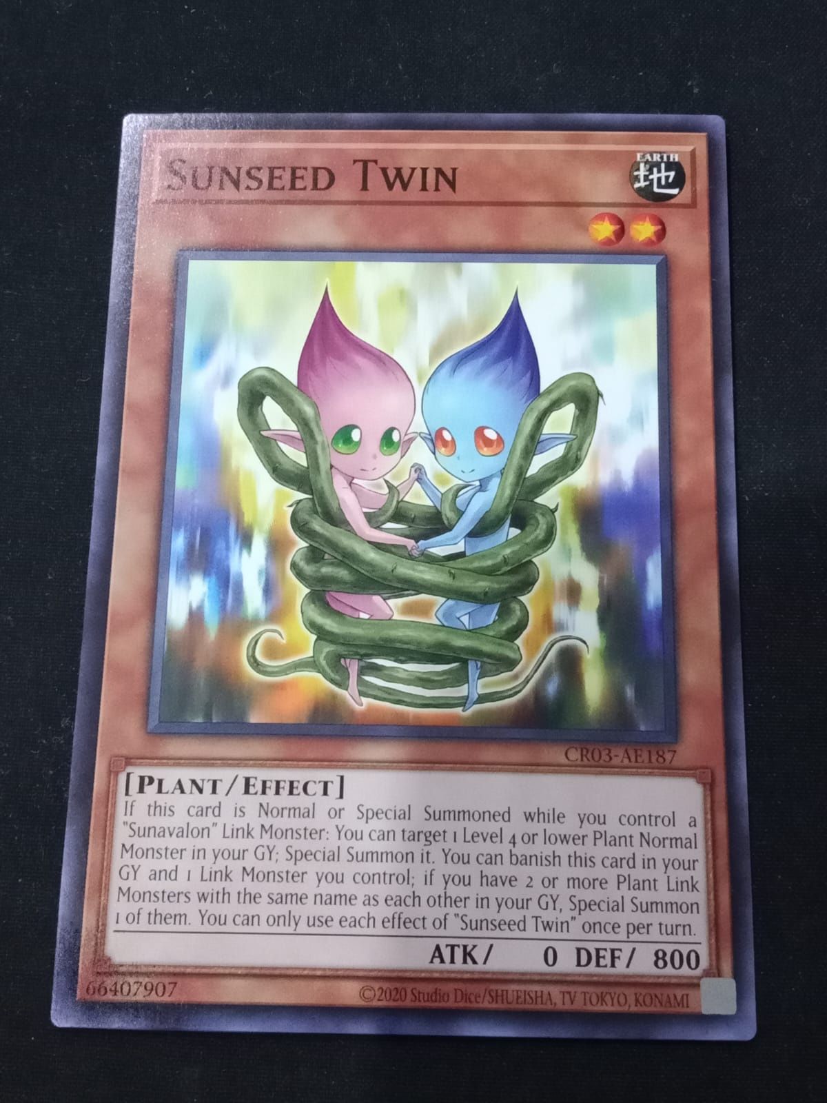 CR03-AE187 Sunseed Twin Common