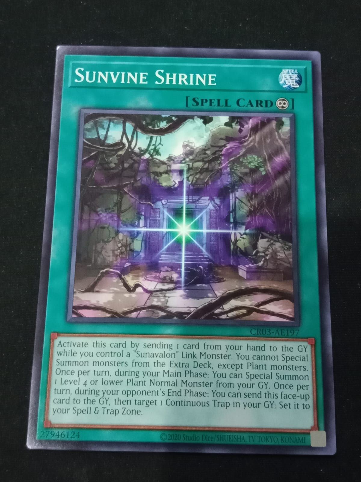 CR03-AE197 Sunvine Shrine Common