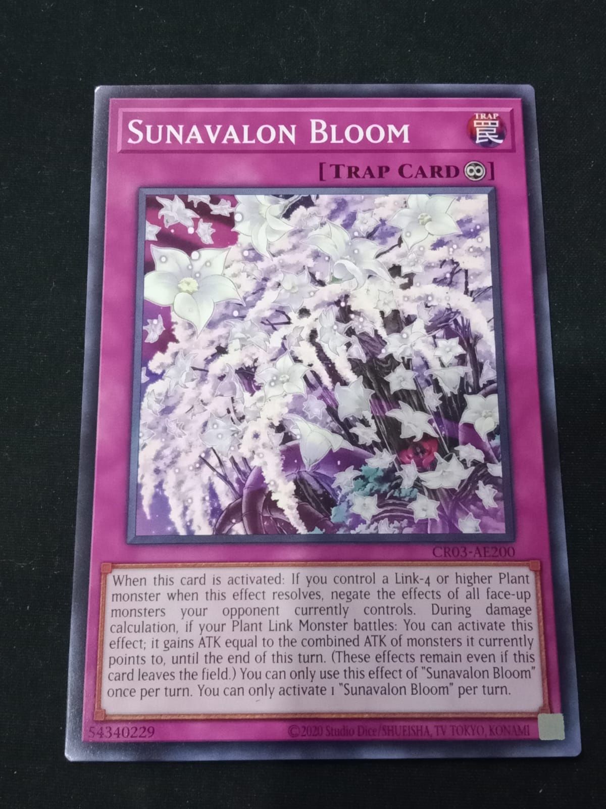 CR03-AE200 Sunavalon Bloom Common