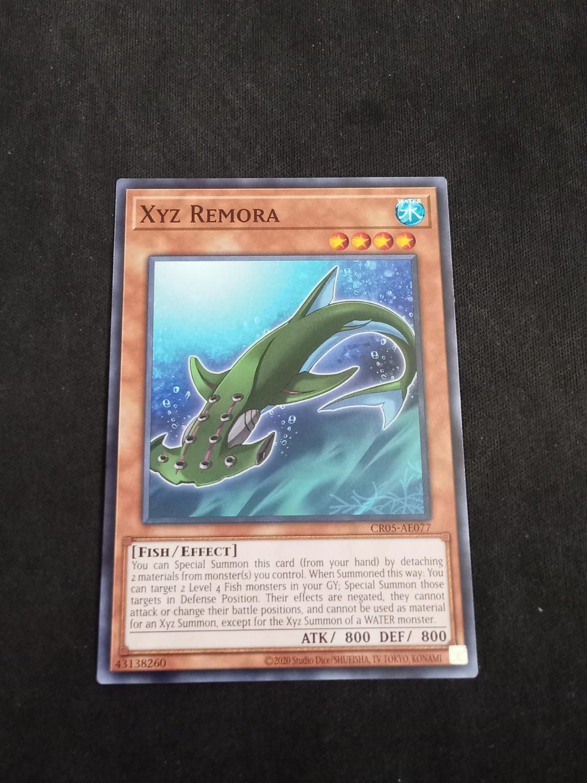 CR05-AE077 Xyz Remora Common