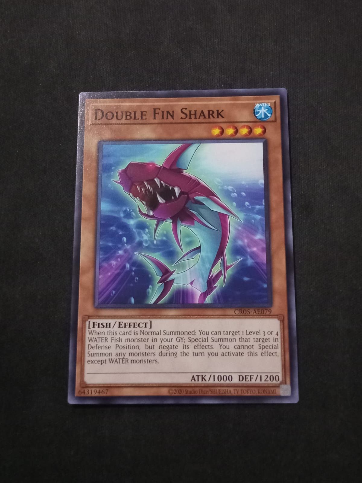 CR05-AE079 Double Fin Shark Common