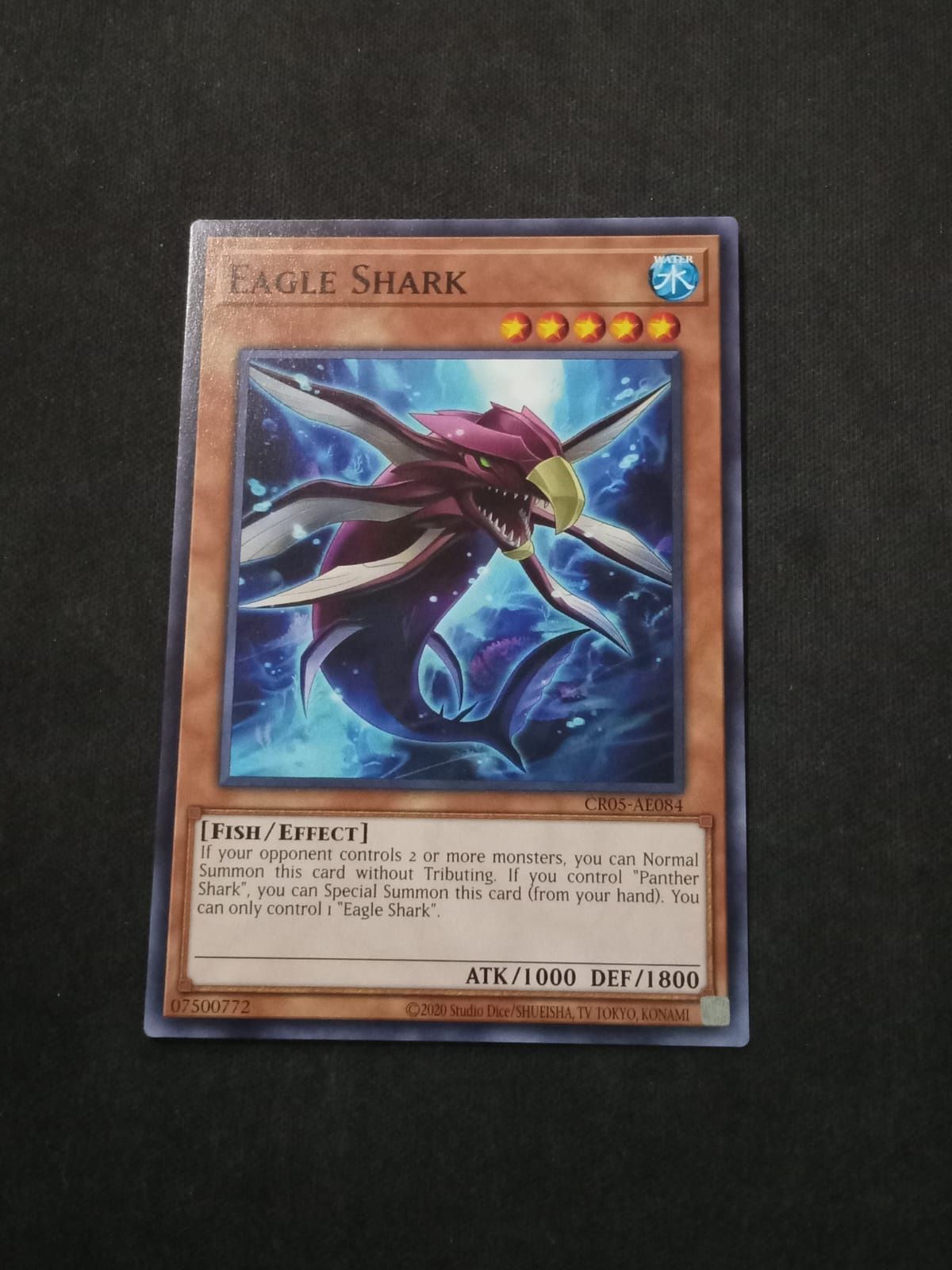 CR05-AE084 Eagle Shark Common