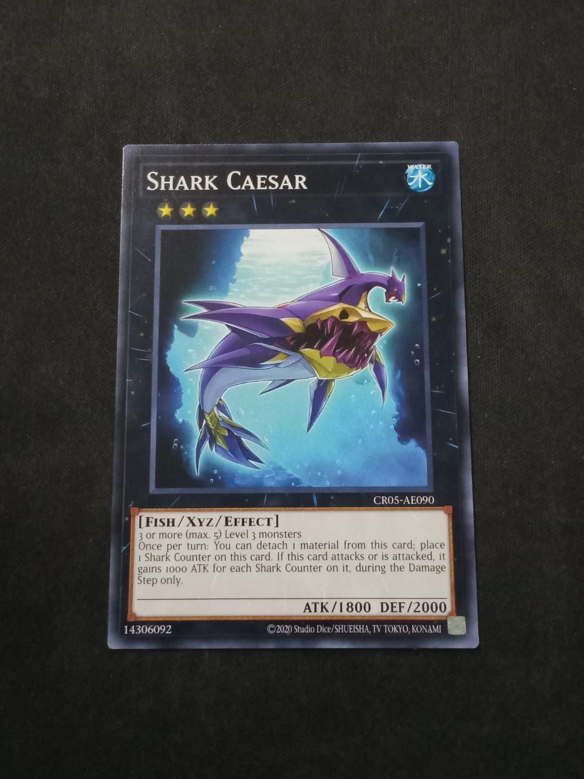 CR05-AE090 Shark Caesar Common