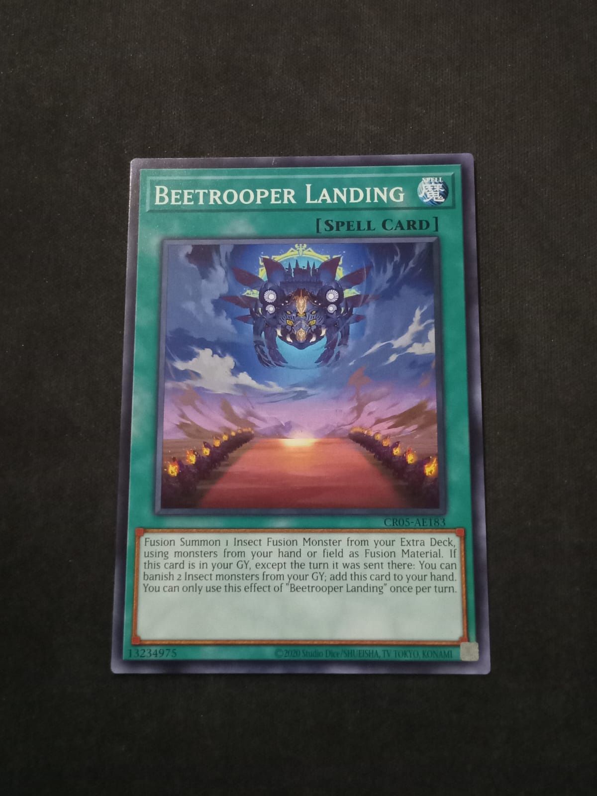 CR05-AE183 Beetrooper Landing Common