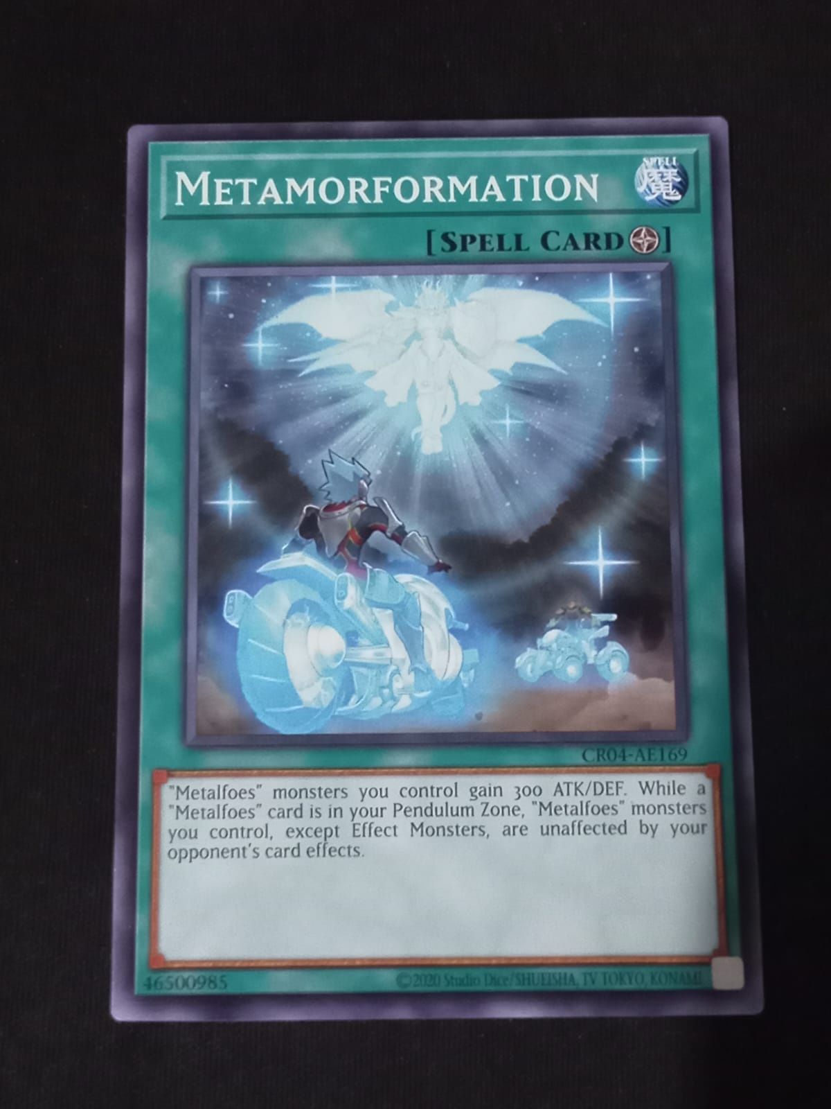 CR04-AE169 Metamorformation Common