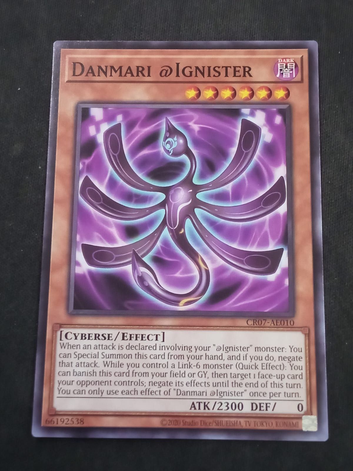 CR07-AE010 Danmari @Ignister Common