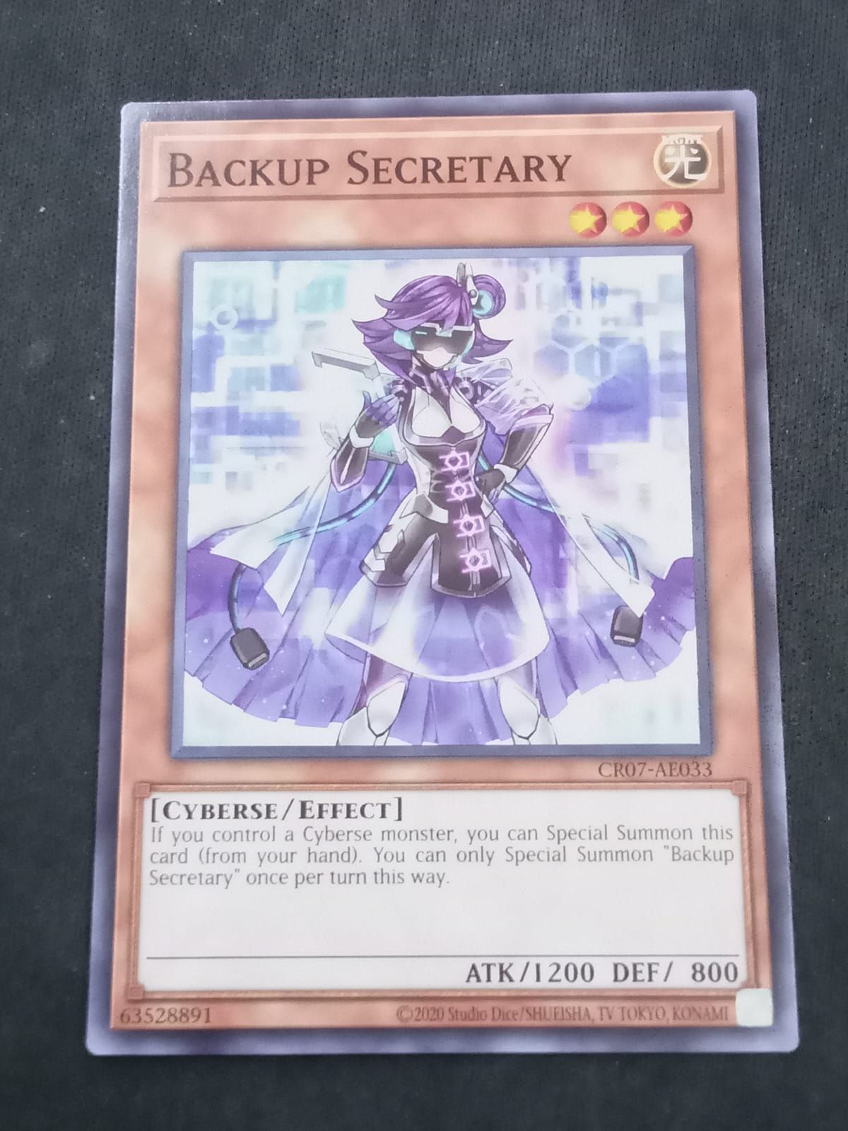 CR07-AE033 Backup Secretary Common
