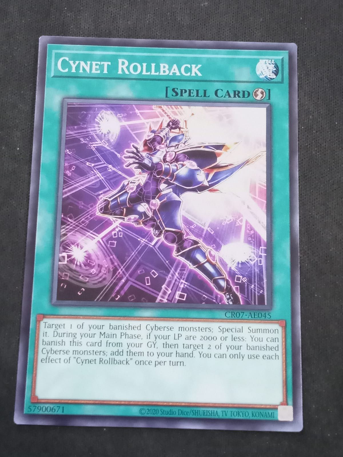 CR07-AE045 Cynet Rollback Common