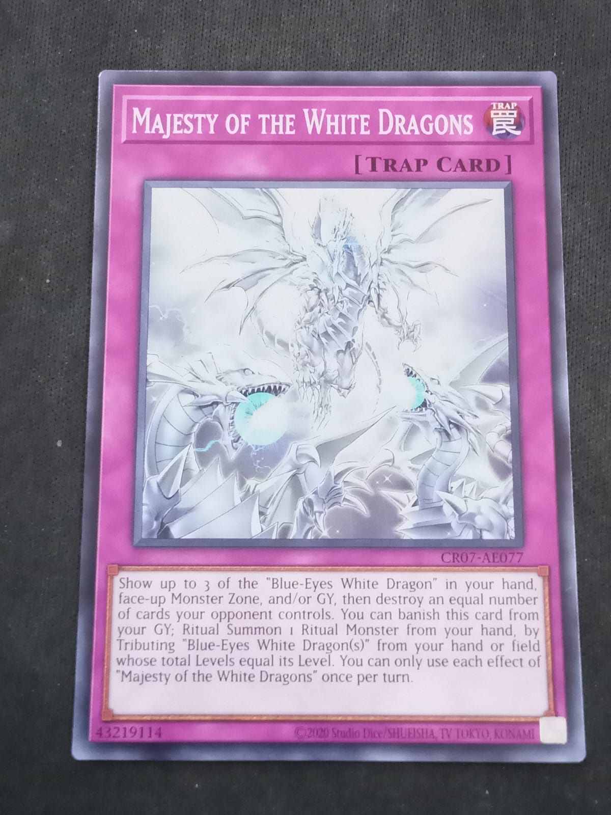 CR07-AE077 Majesty of the White Dragons Common